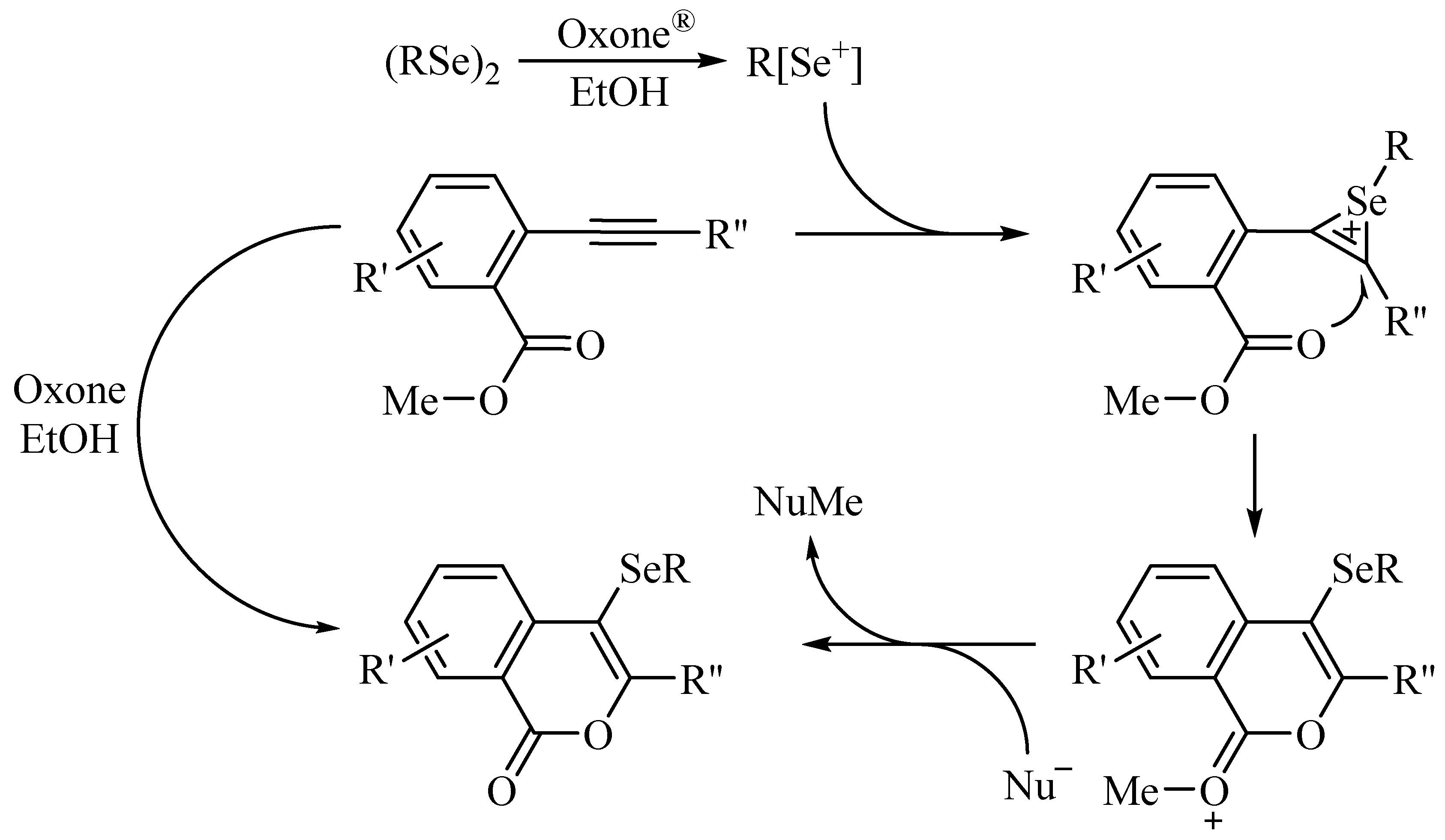 Catalysts 13 01369 sch034 Catalysts 13 01369 sch034