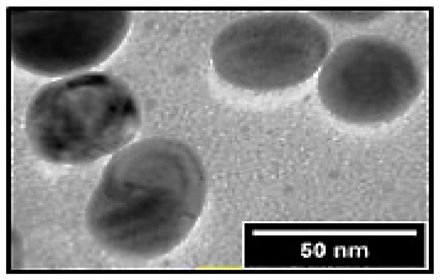 Catalysts 13 01389 g006