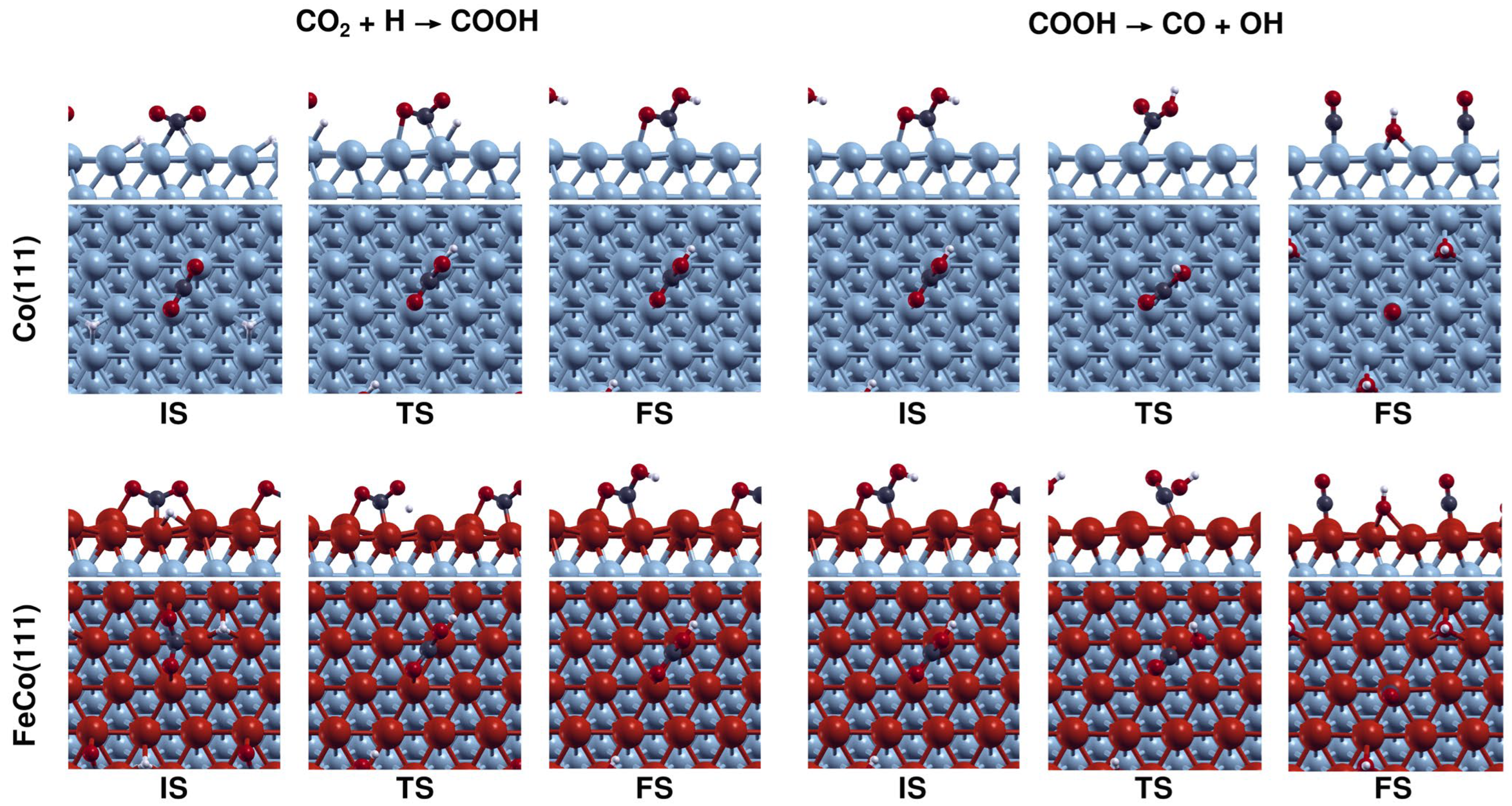 Catalysts 13 01390 g006