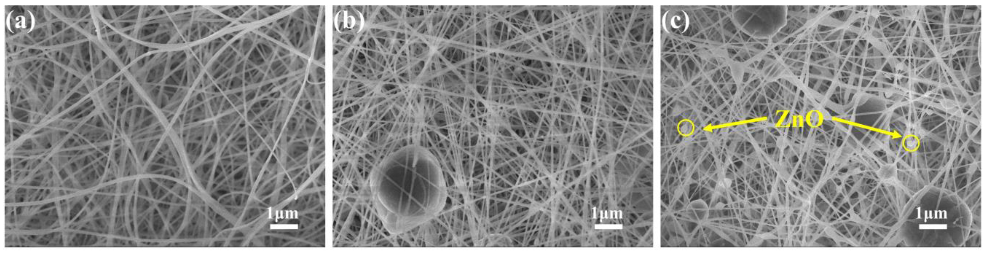 Catalysts 13 01391 g005