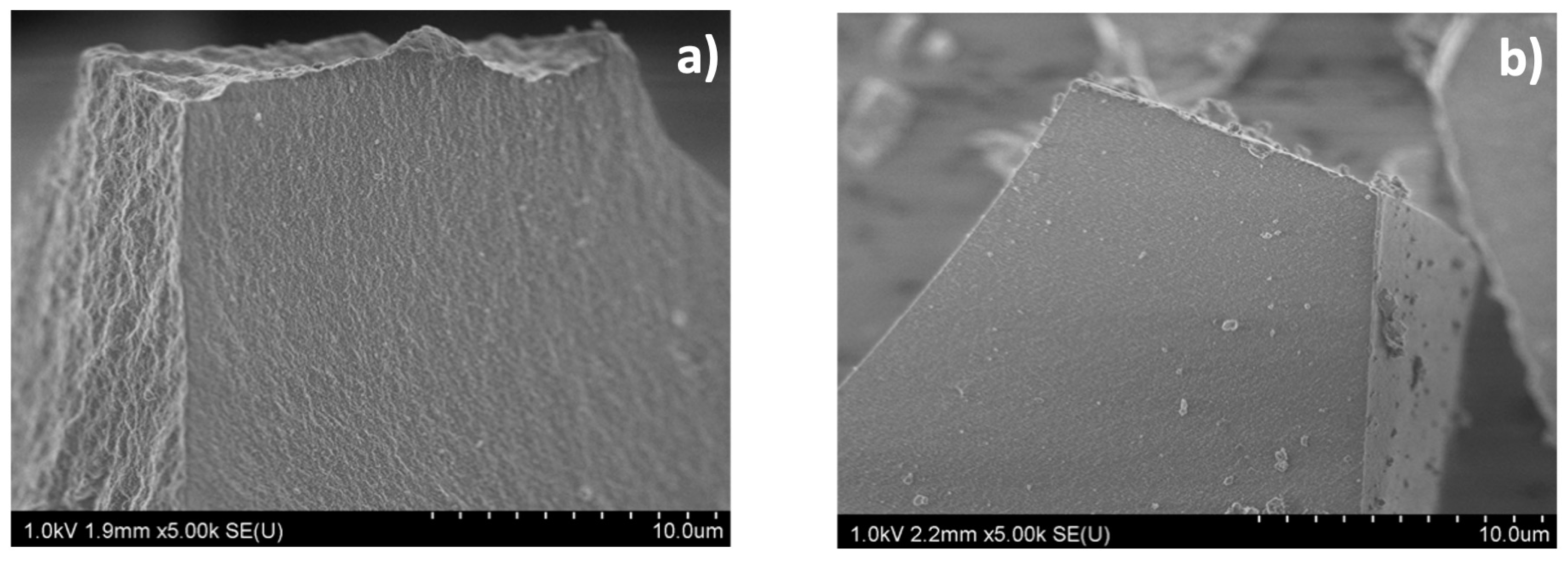 Catalysts 13 01393 g004
