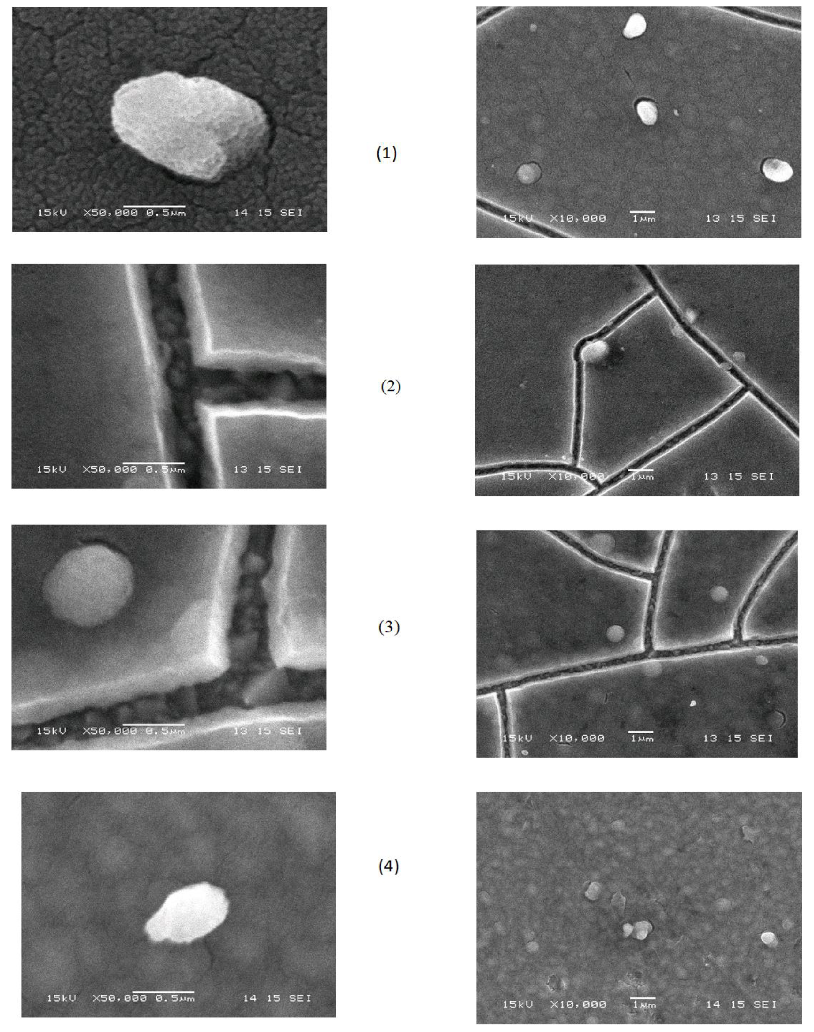 Catalysts 13 01397 g004