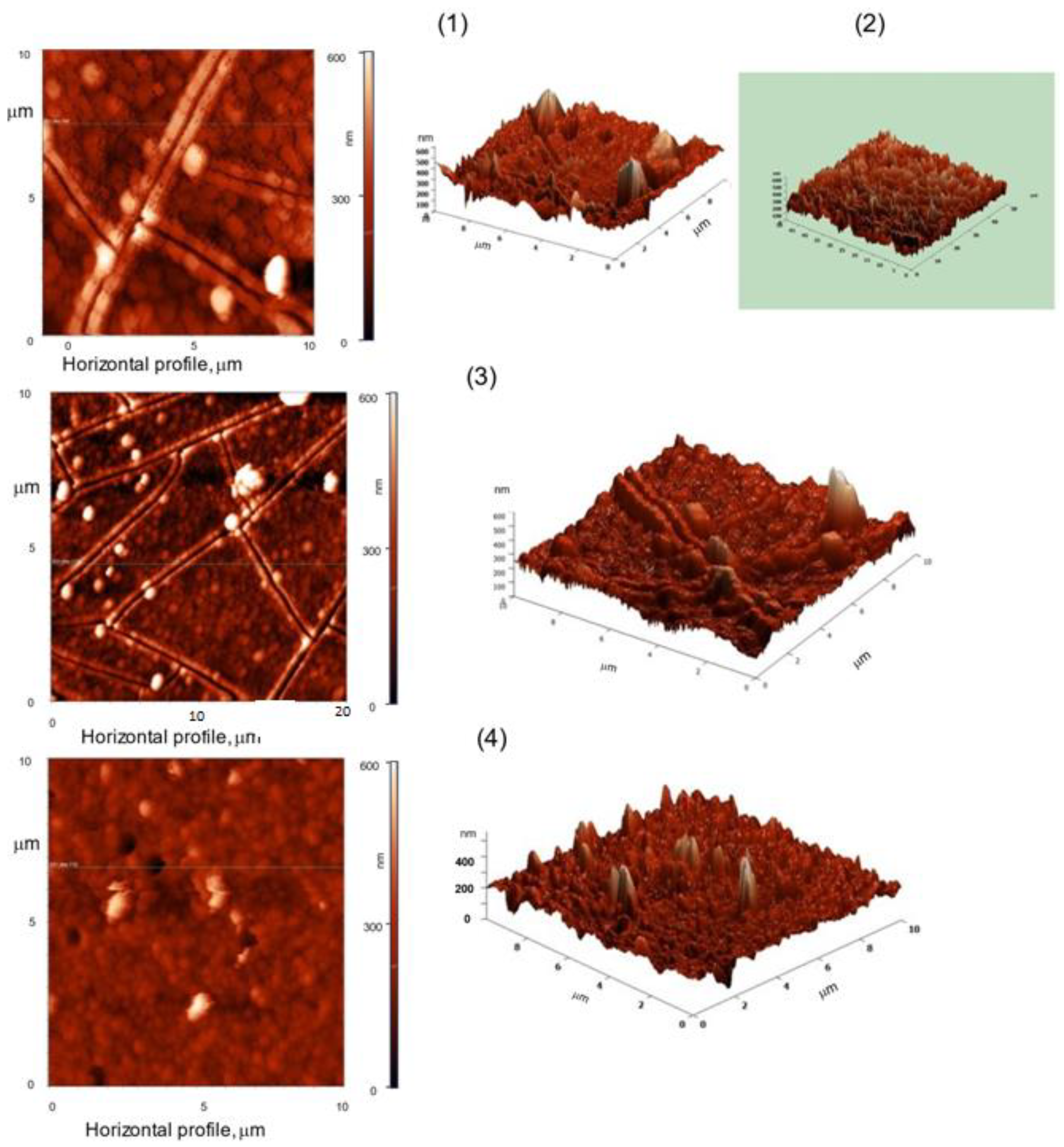 Catalysts 13 01397 g005