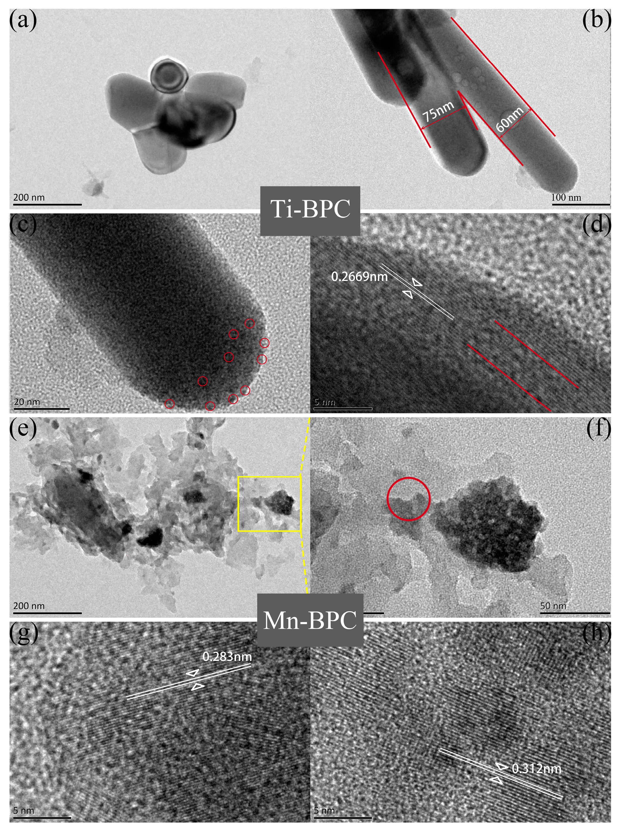 Catalysts 13 01398 g002