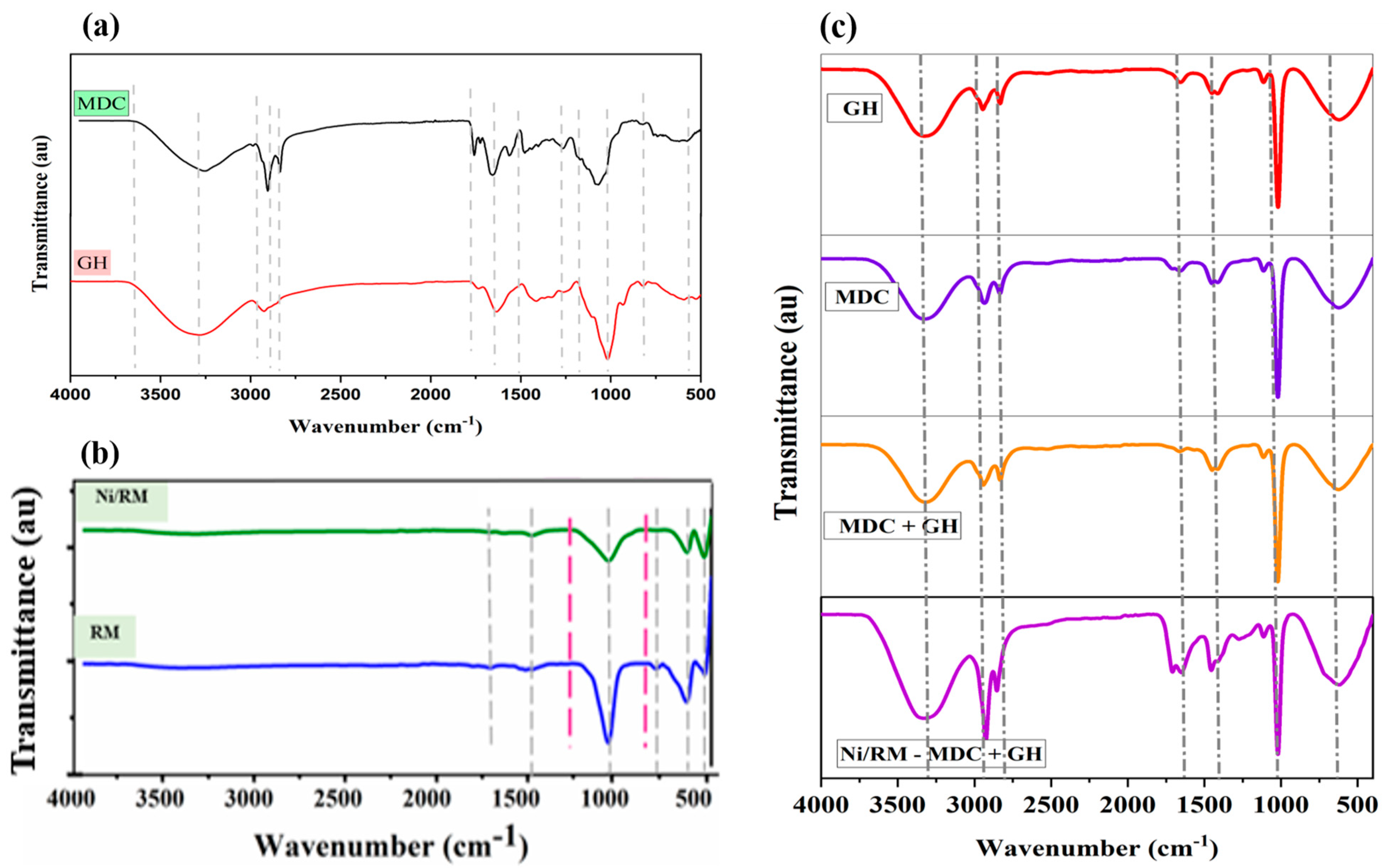 Catalysts 13 01401 g001