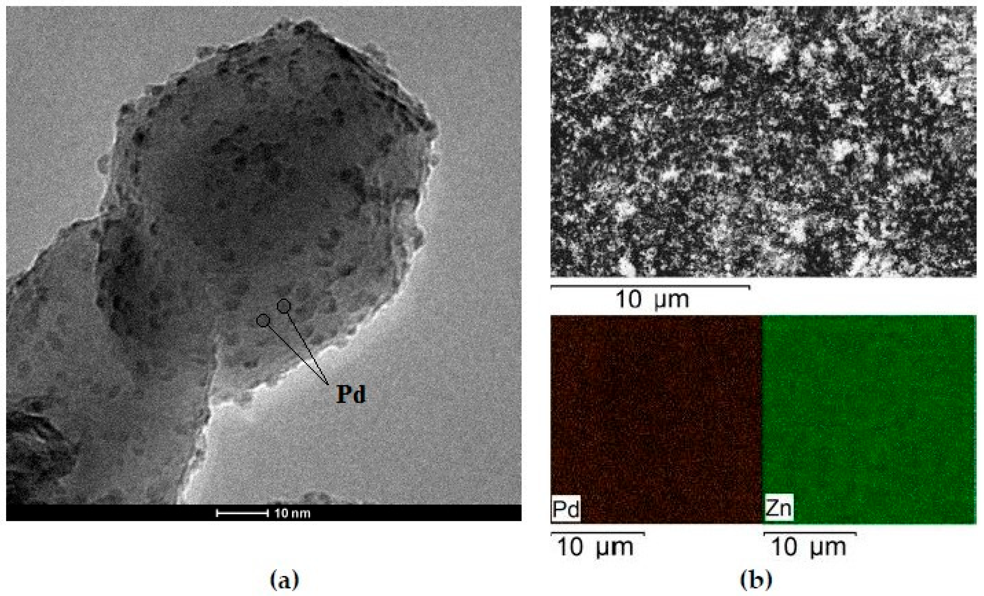 Catalysts 13 01403 g003 Catalysts 13 01403 g003