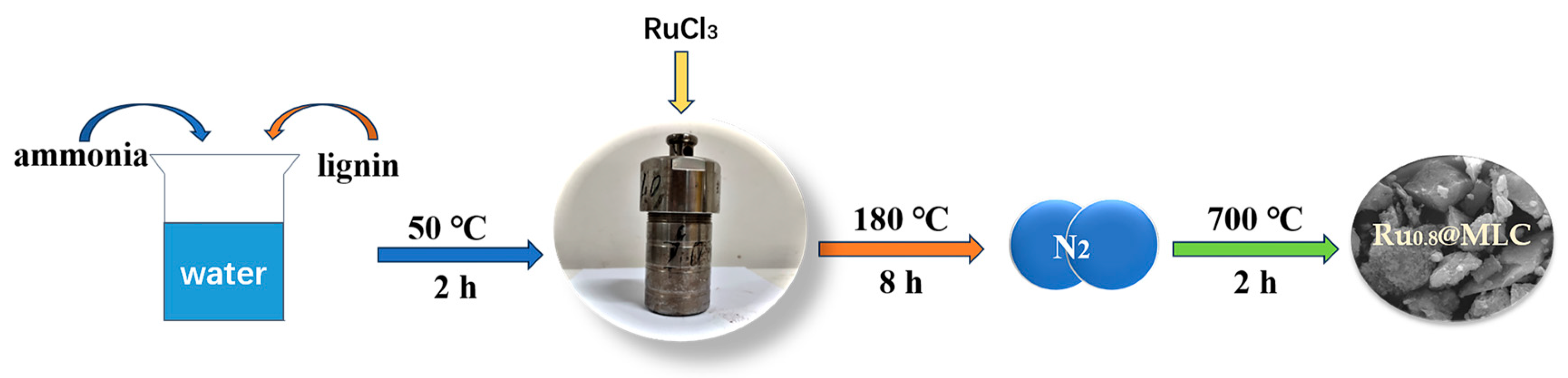 Catalysts 13 01404 g001