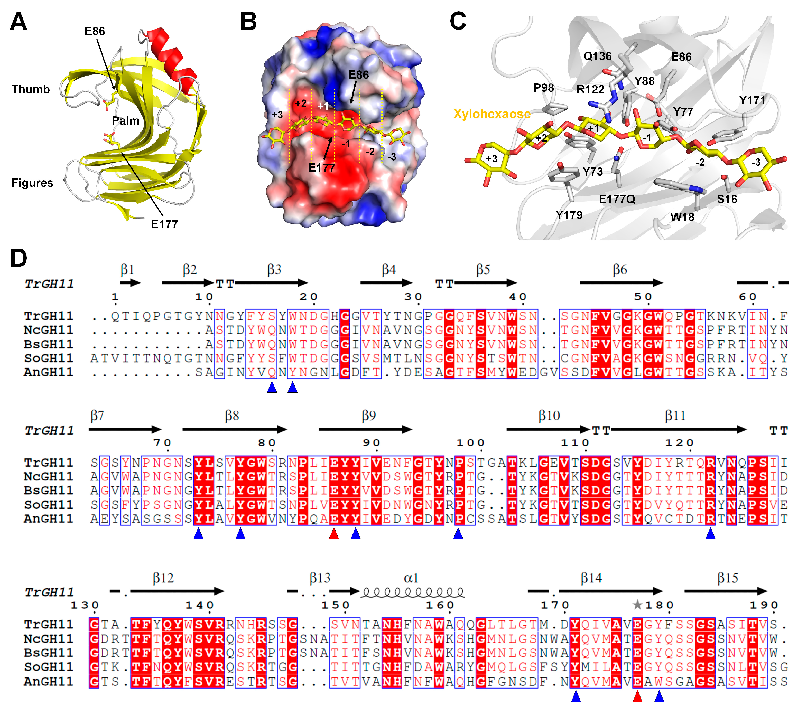 Catalysts 13 01405 g003