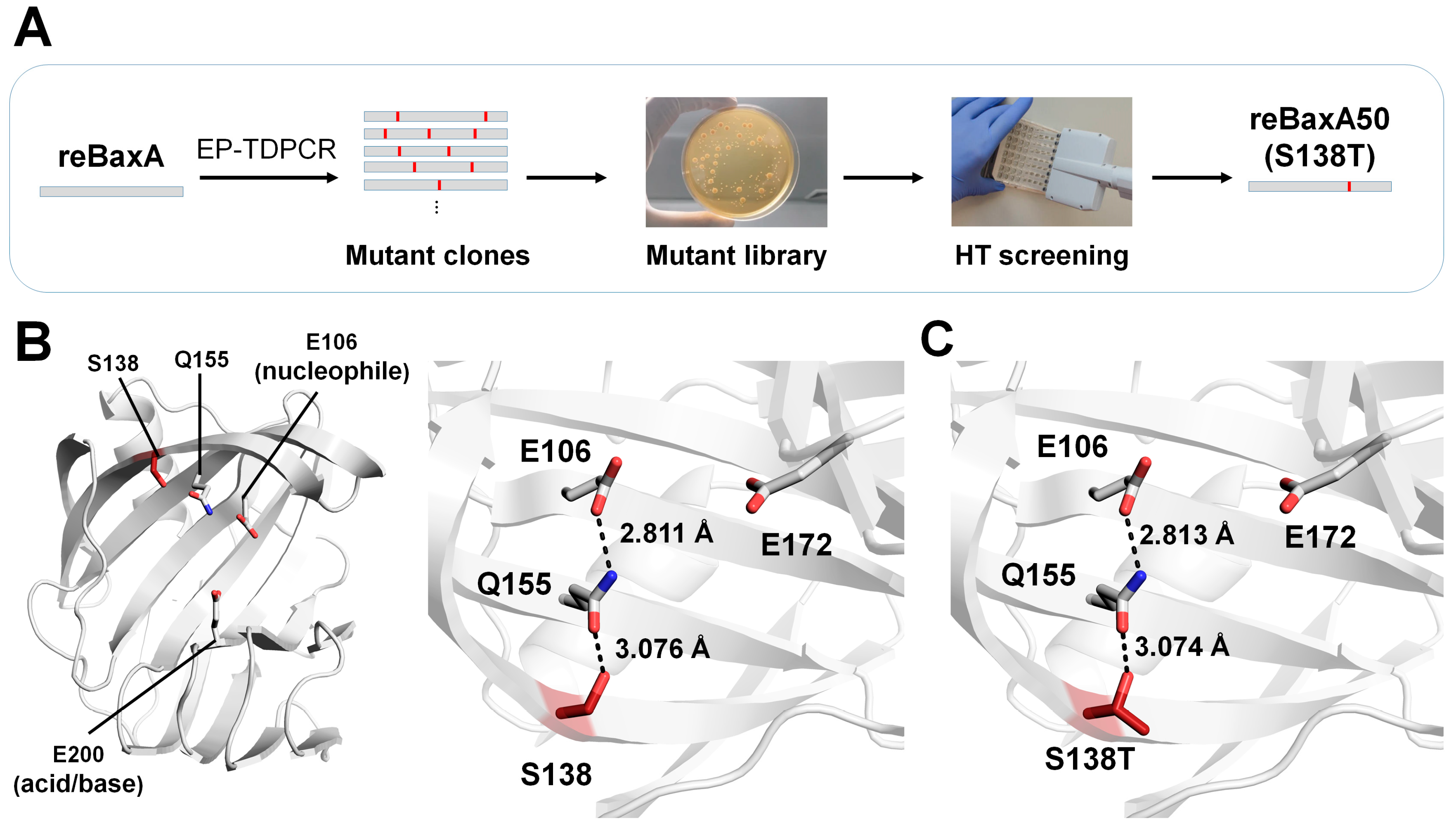 Catalysts 13 01405 g005