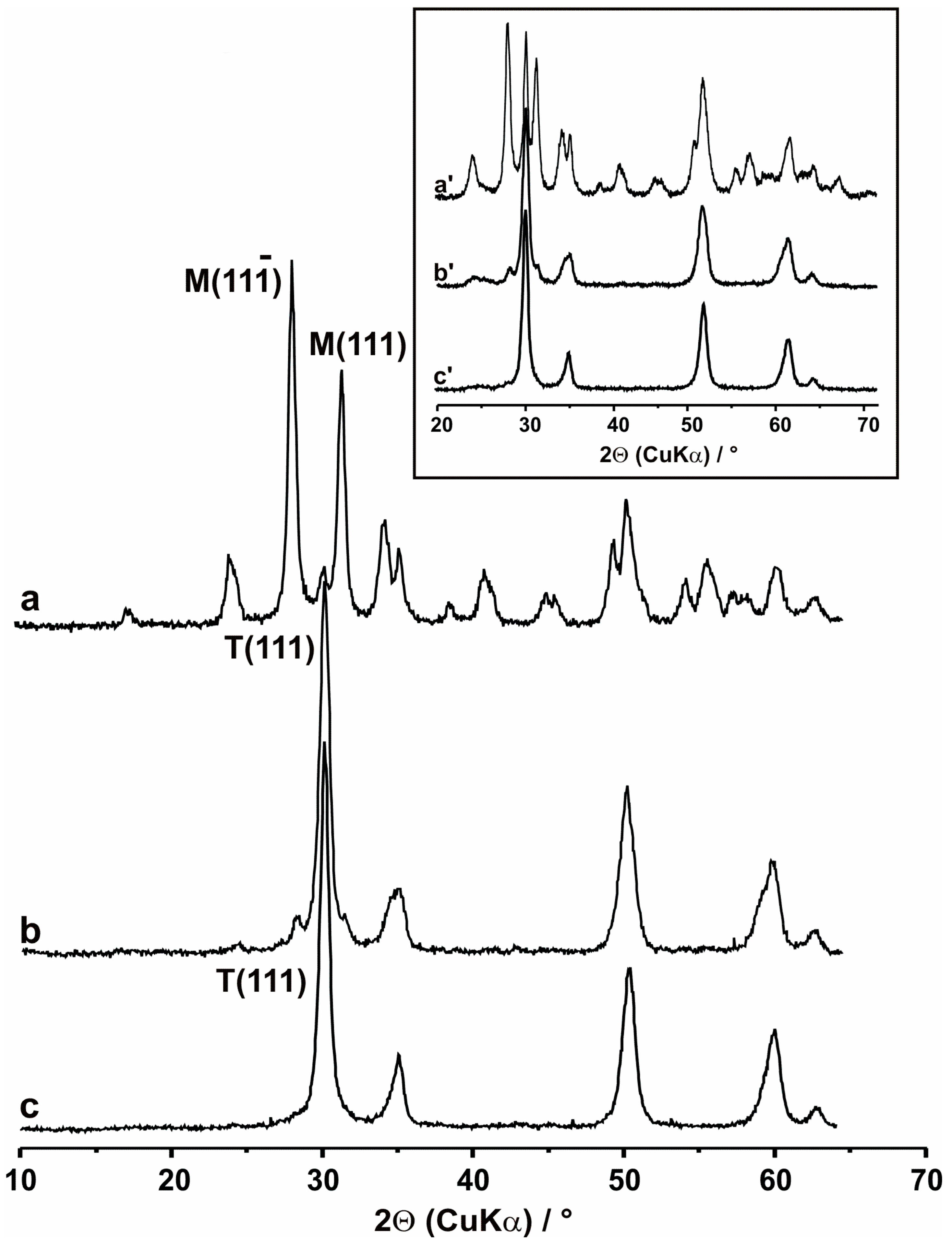 Catalysts 13 01406 g003