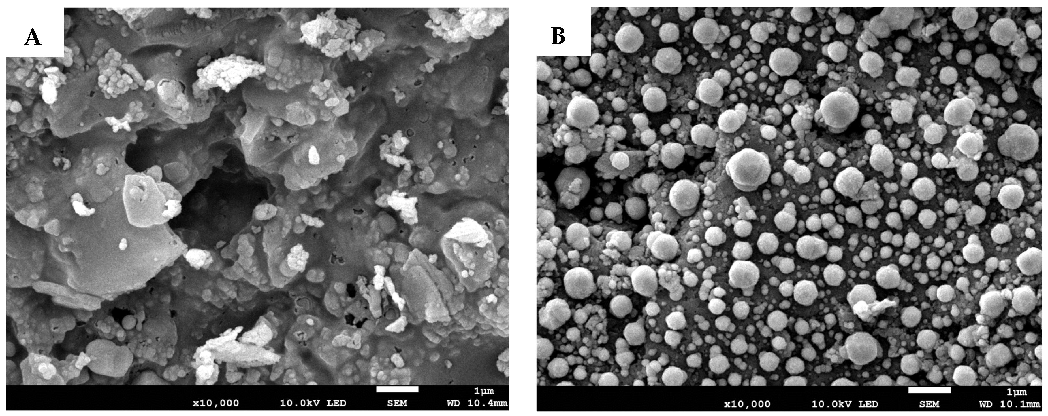Catalysts 13 01407 g002