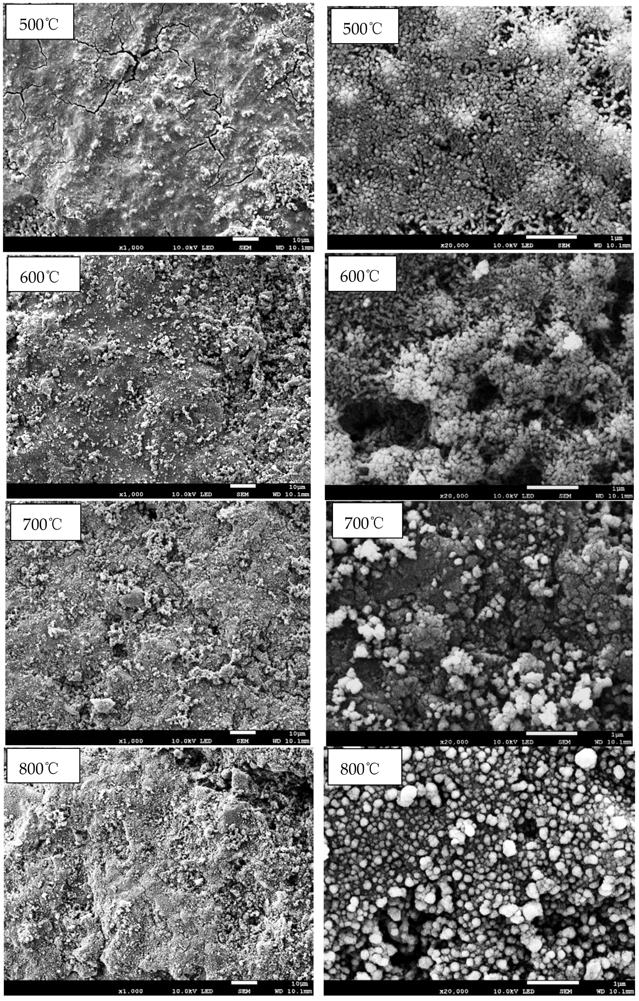 Catalysts 13 01407 g003a