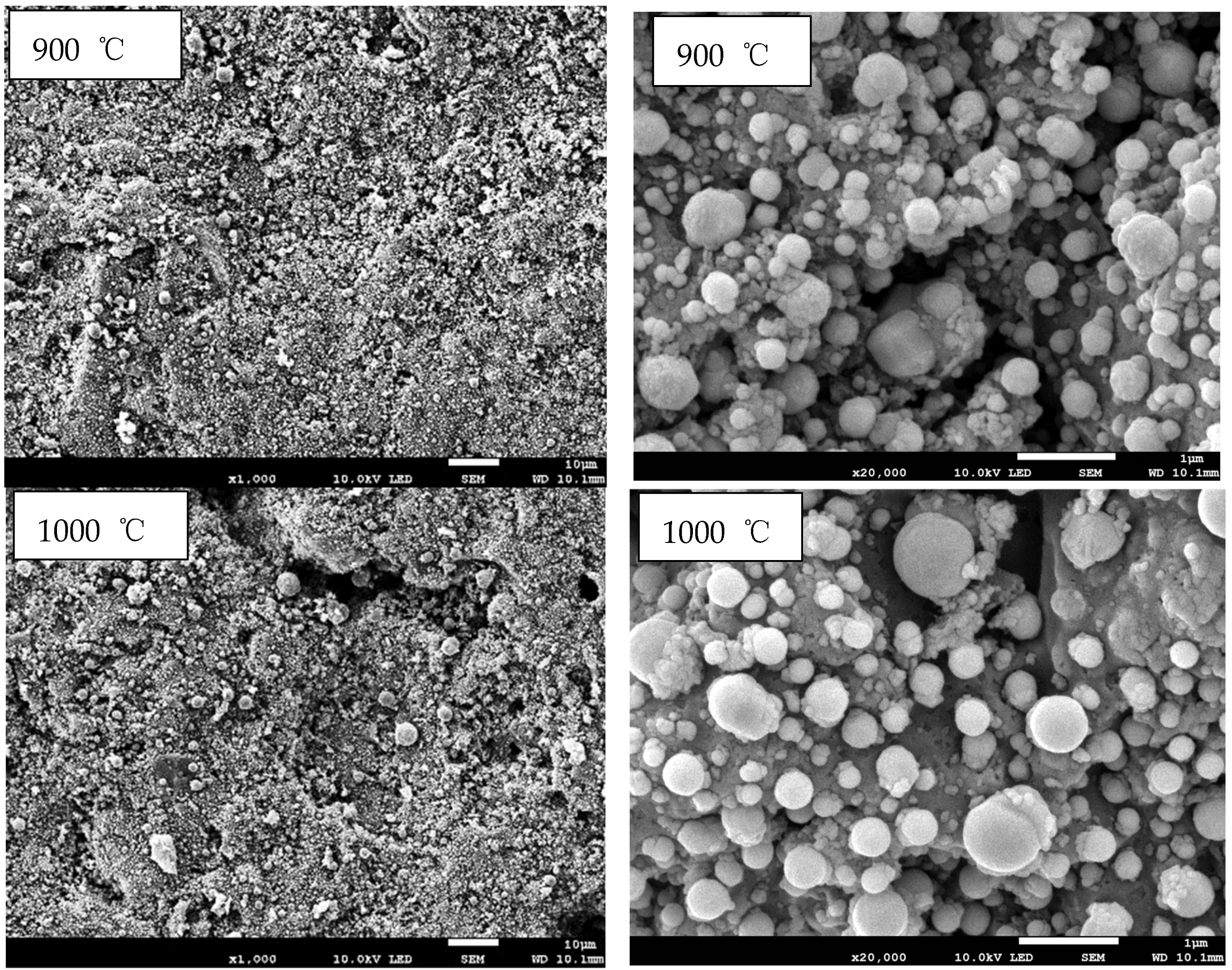 Catalysts 13 01407 g003b