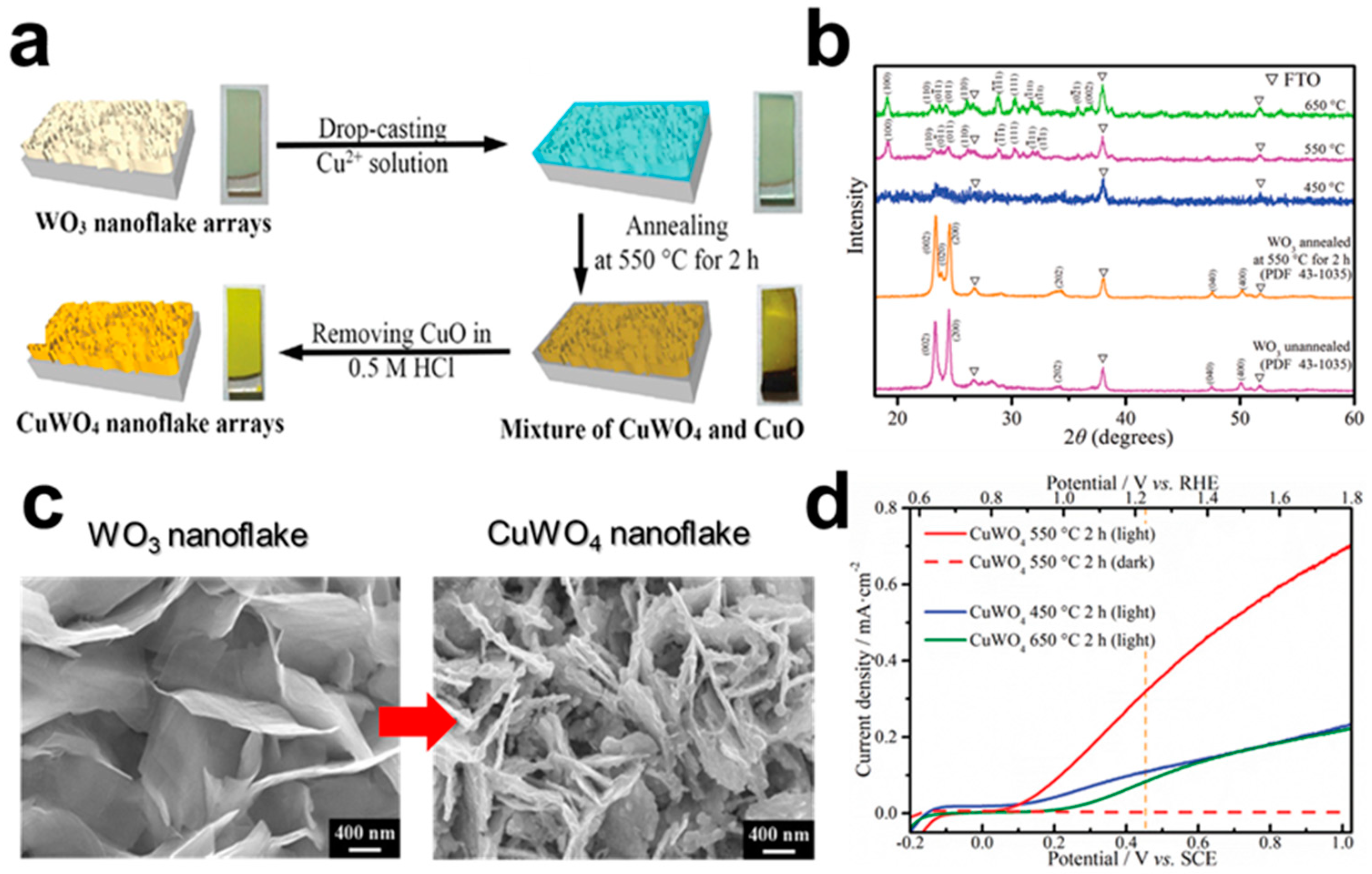 Catalysts 13 01408 g002