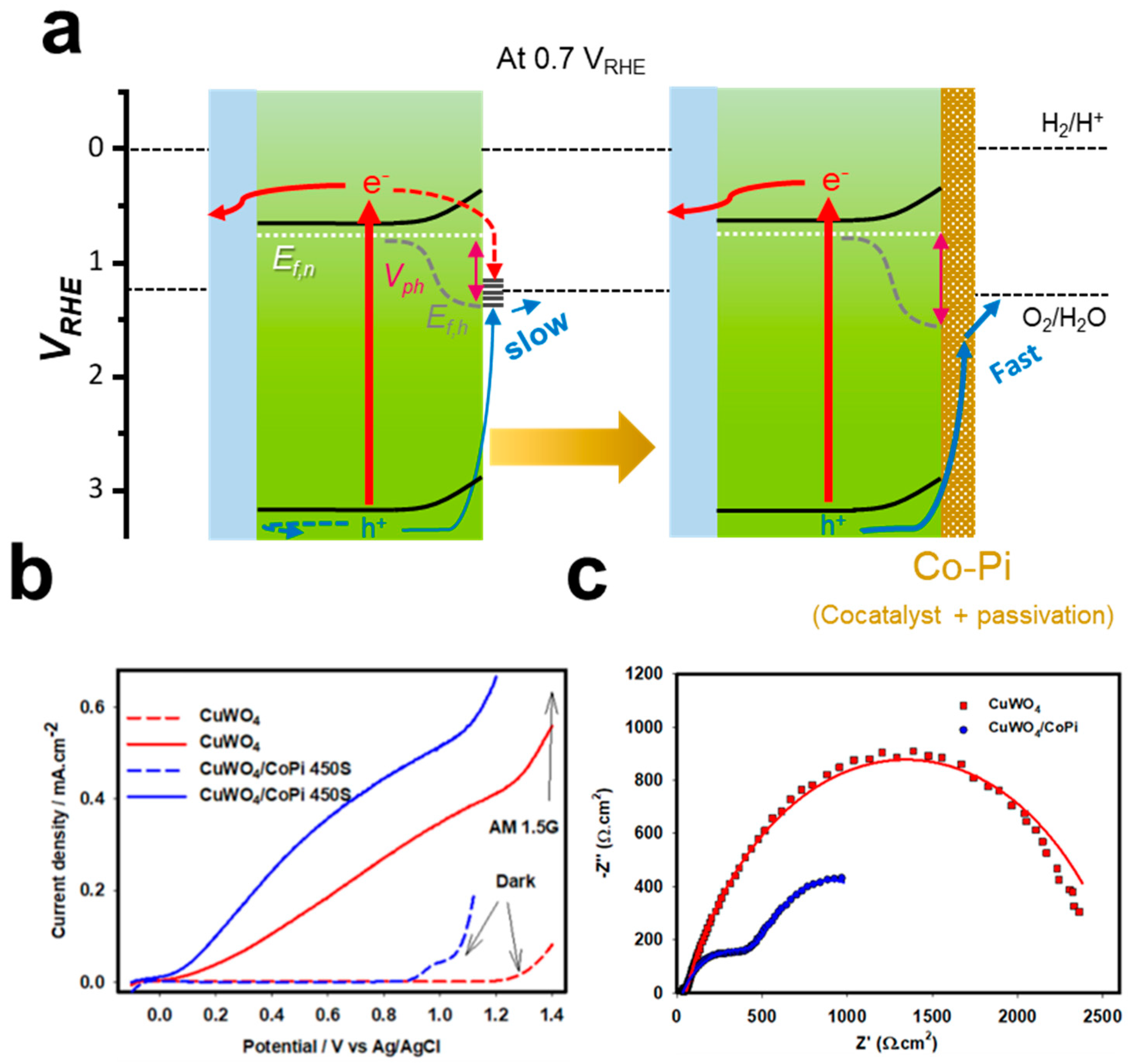 Catalysts 13 01408 g009