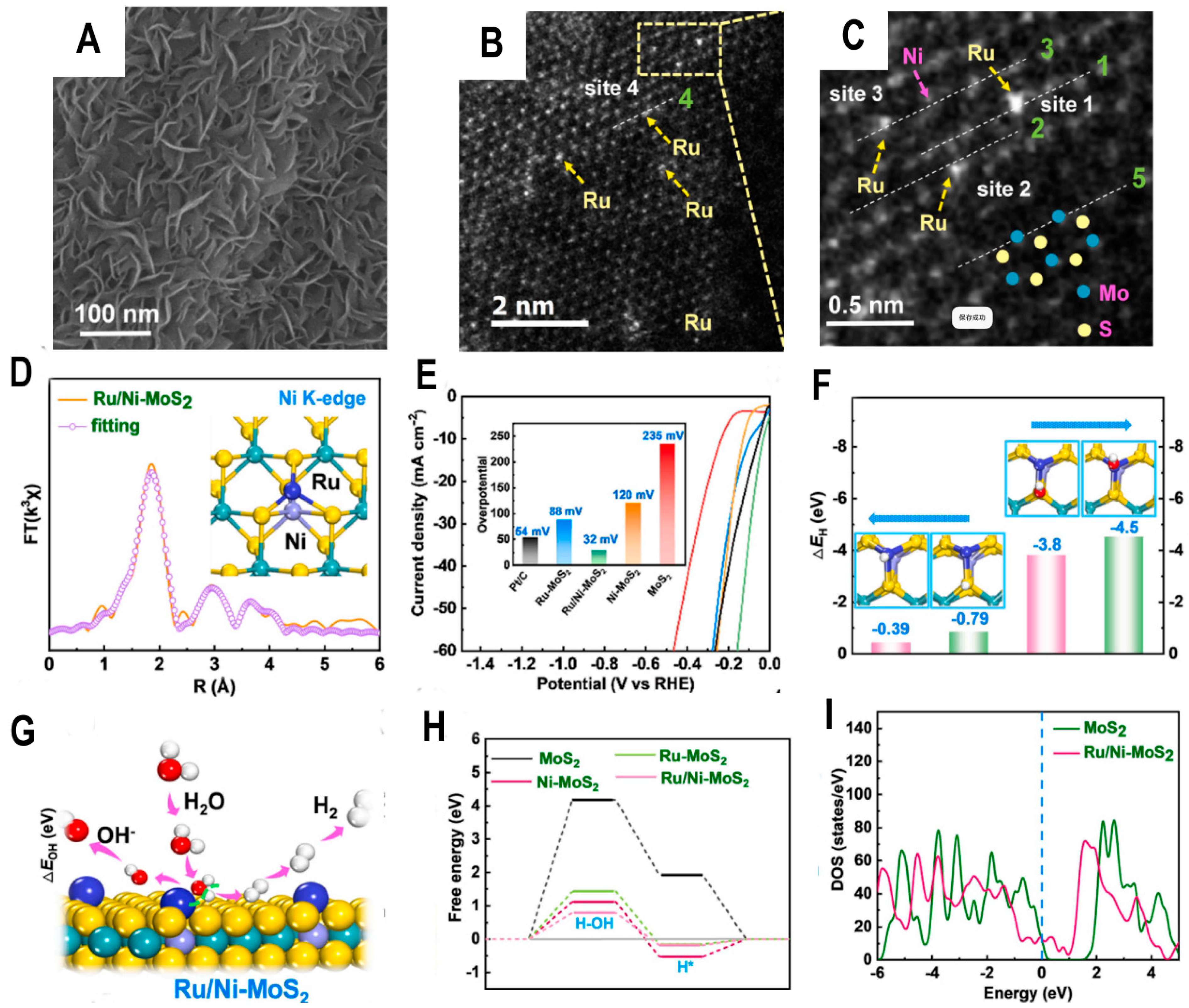 Catalysts 13 01409 g004