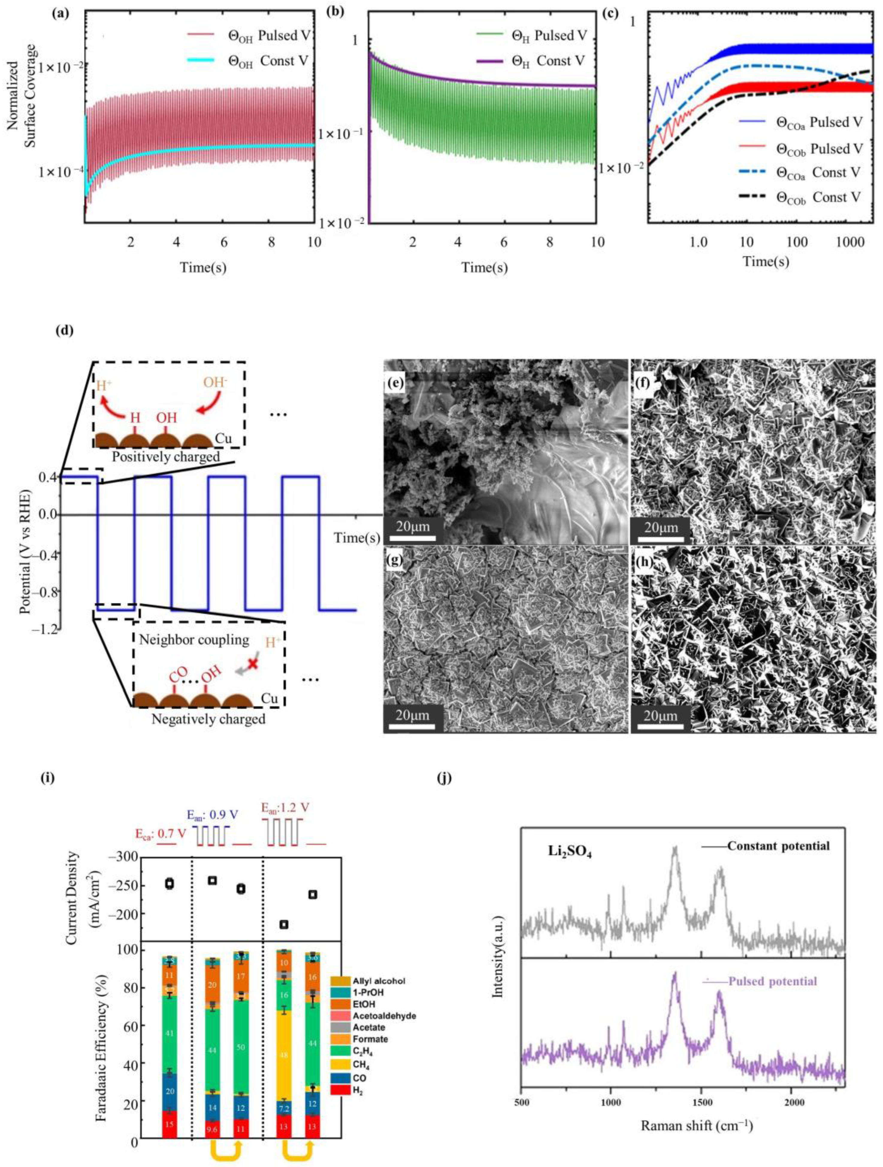 Catalysts 13 01410 g005