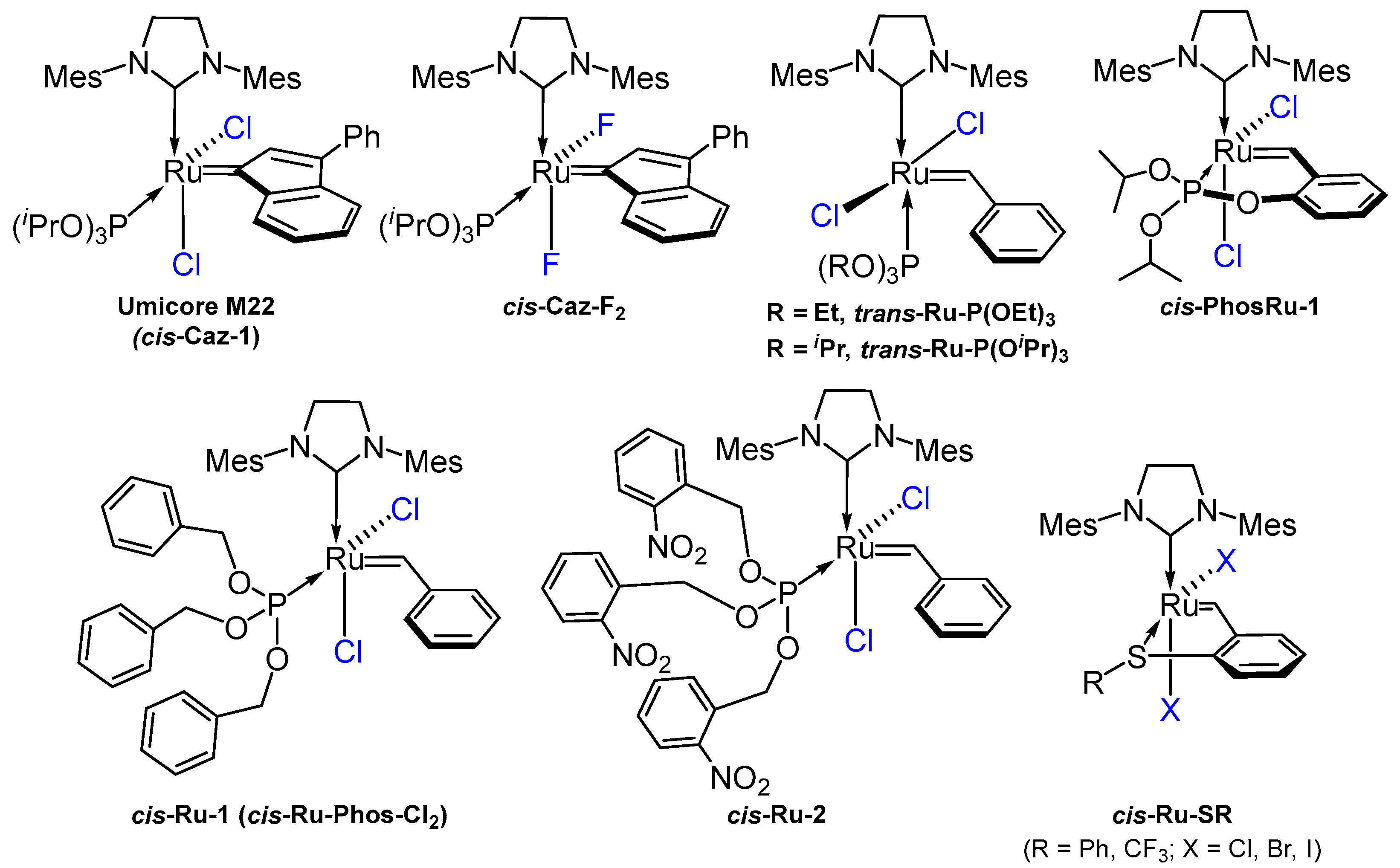 Catalysts 13 01411 g001