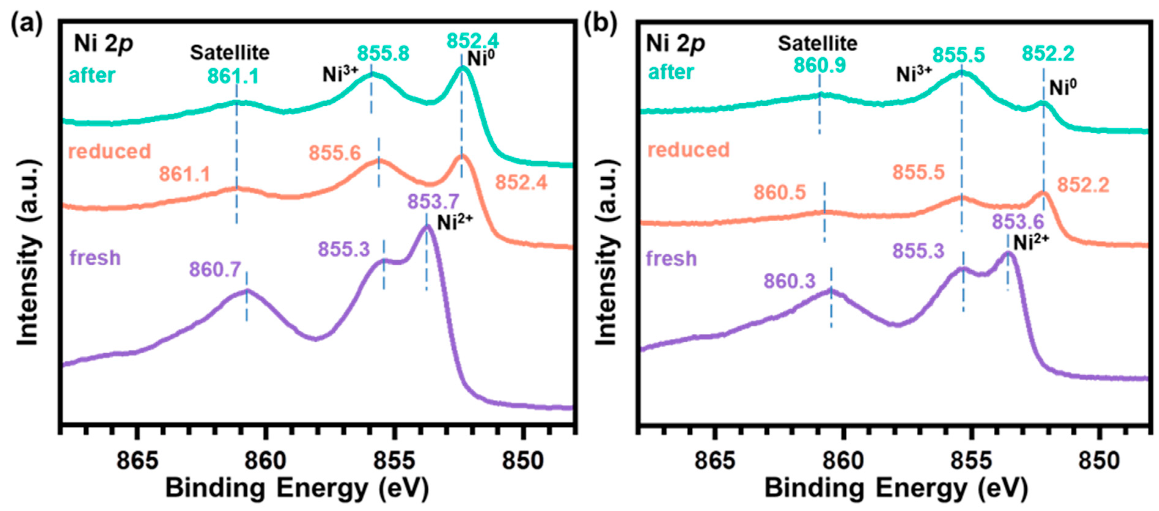 Catalysts 13 01418 g006