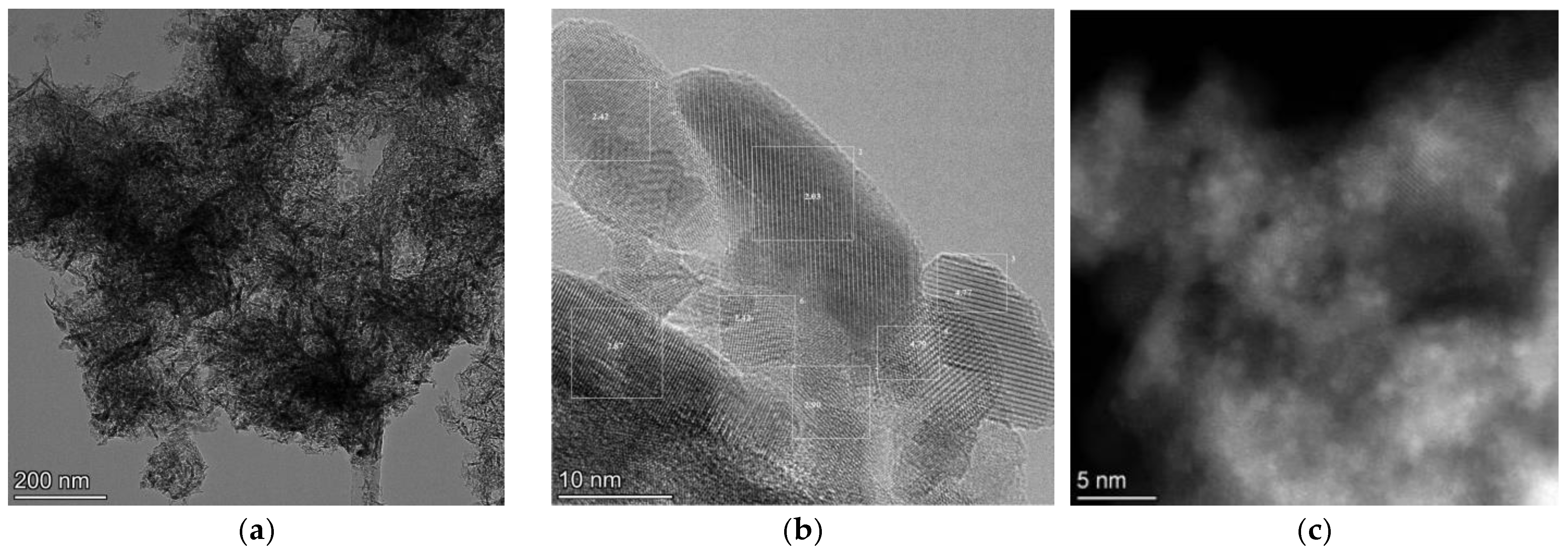 Catalysts 13 01419 g004