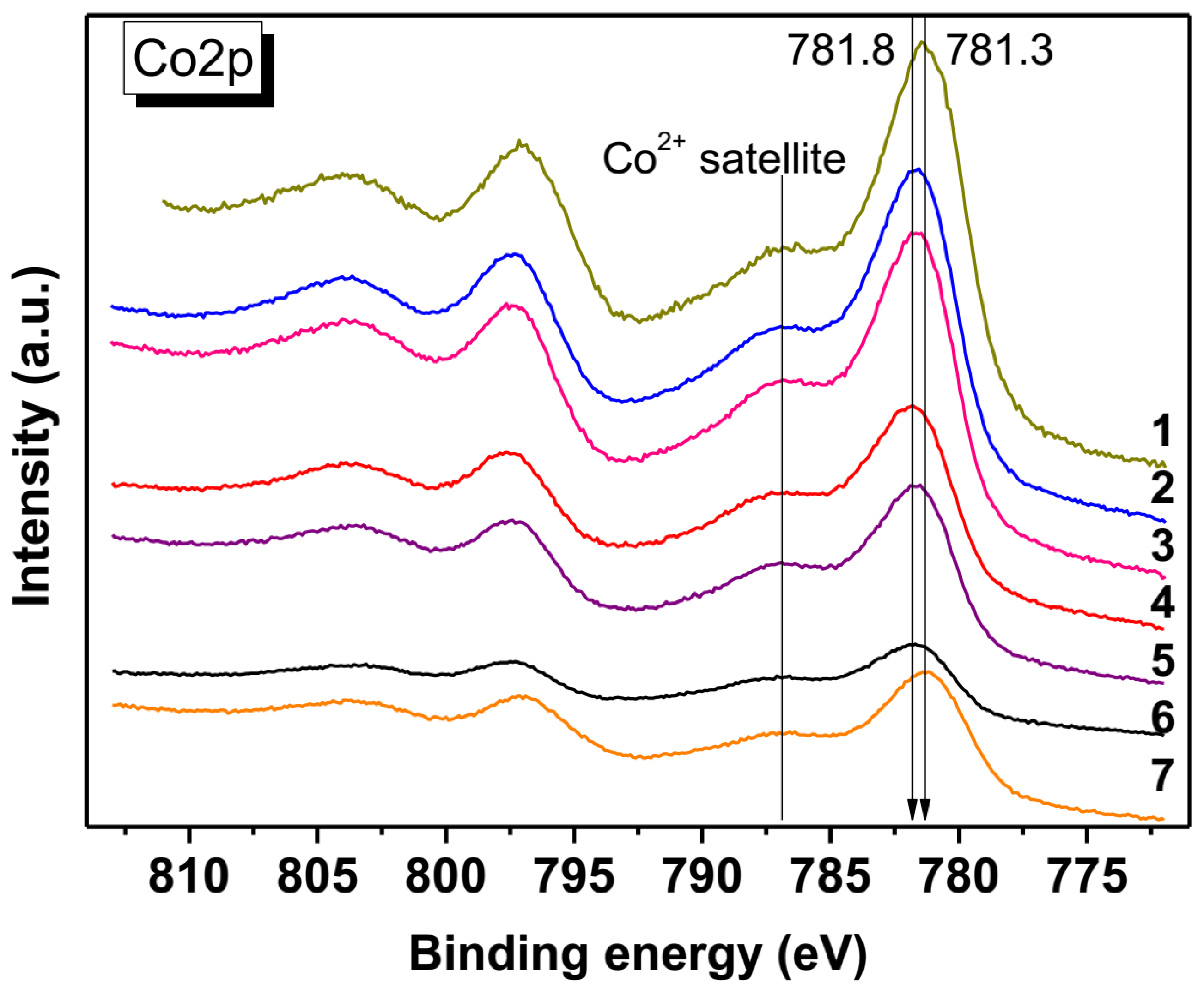 Catalysts 13 01419 g005