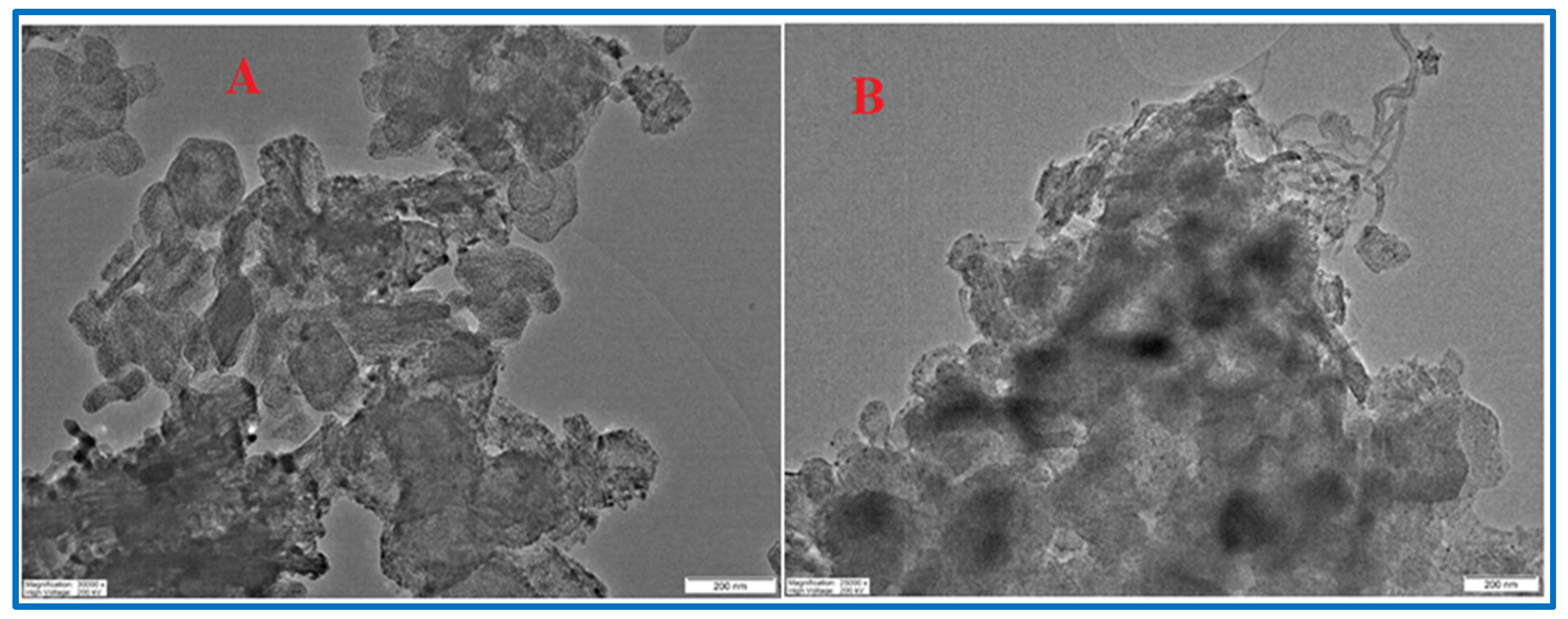 Catalysts 13 01420 g007