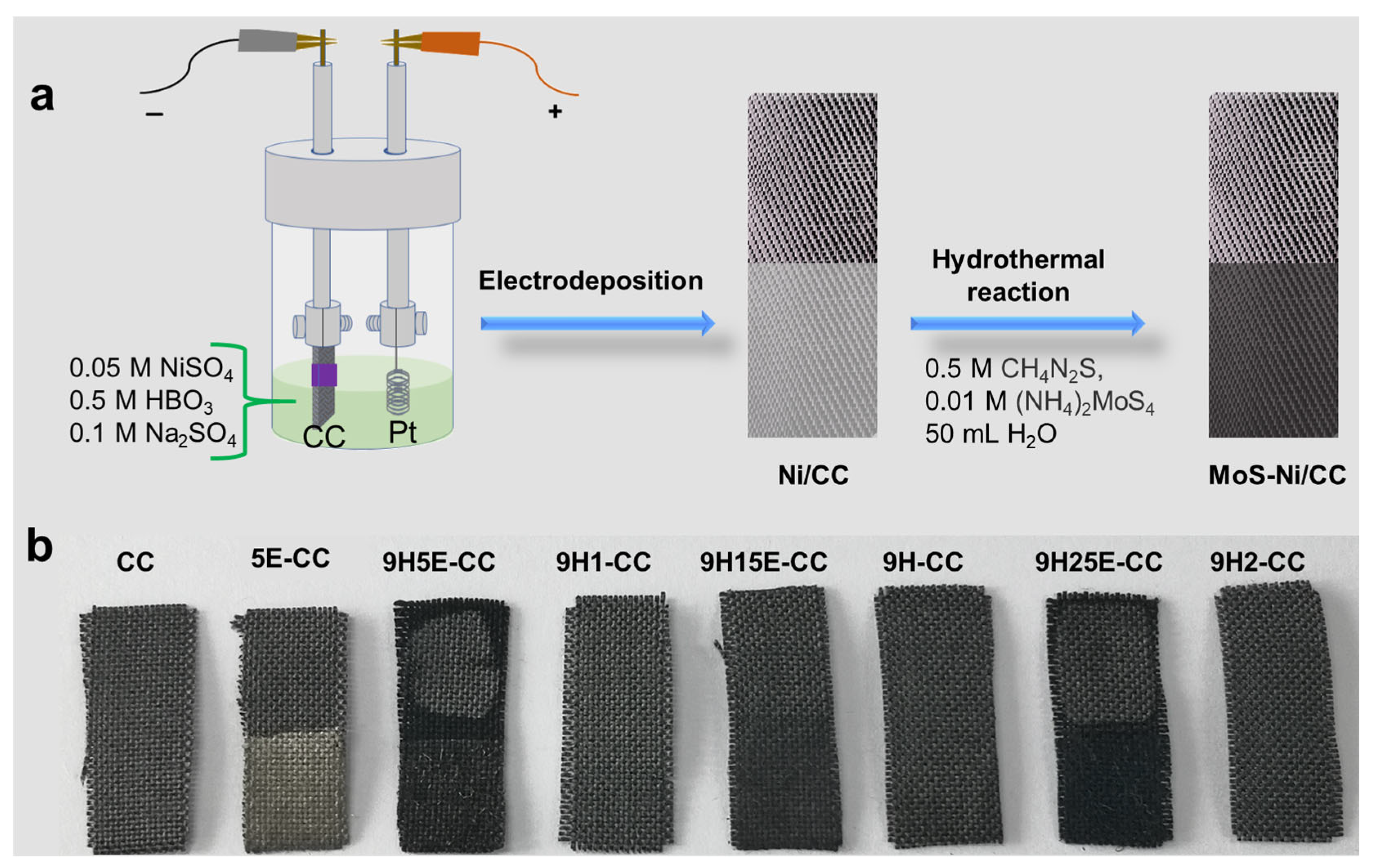 Catalysts 13 01426 g001