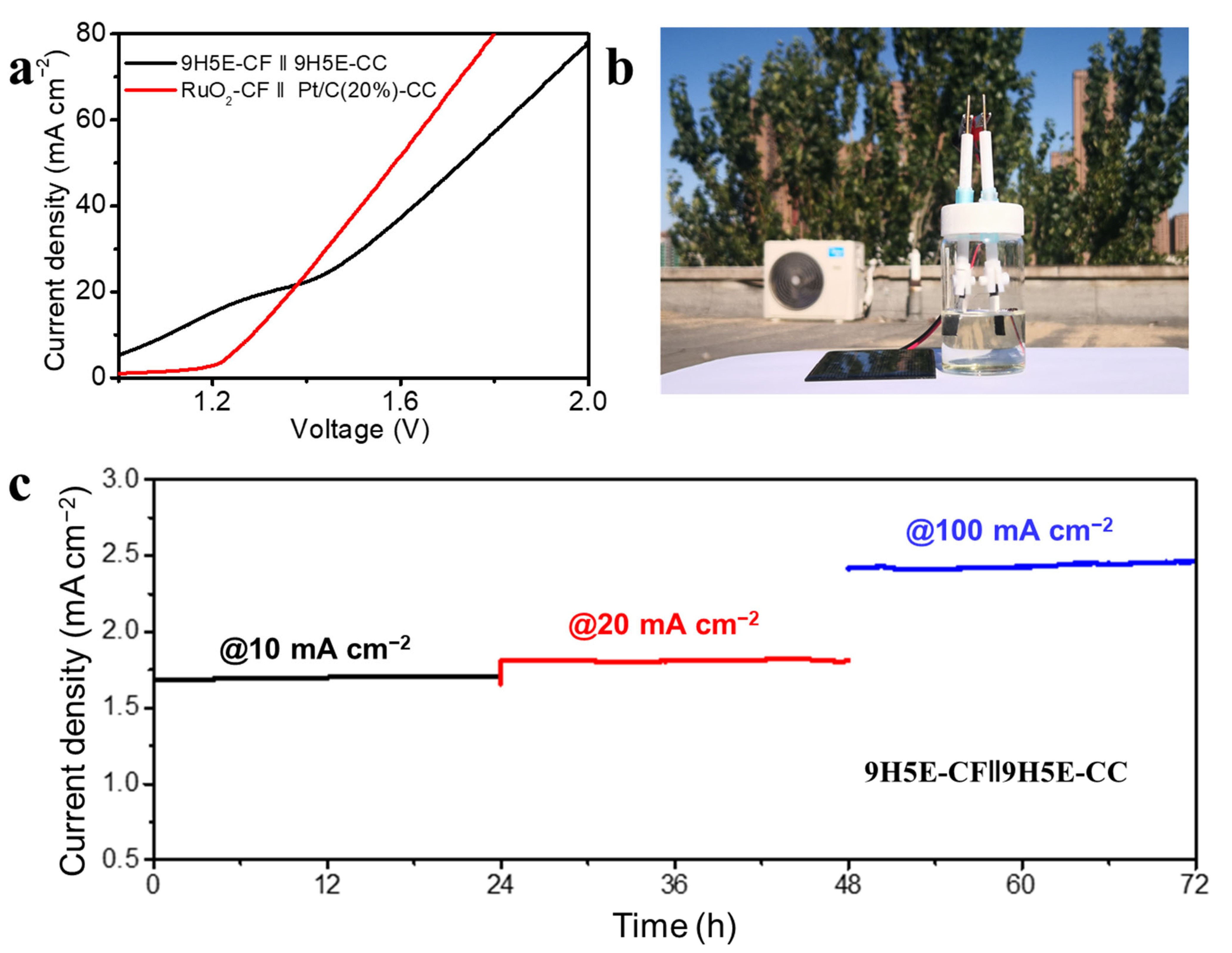 Catalysts 13 01426 g007