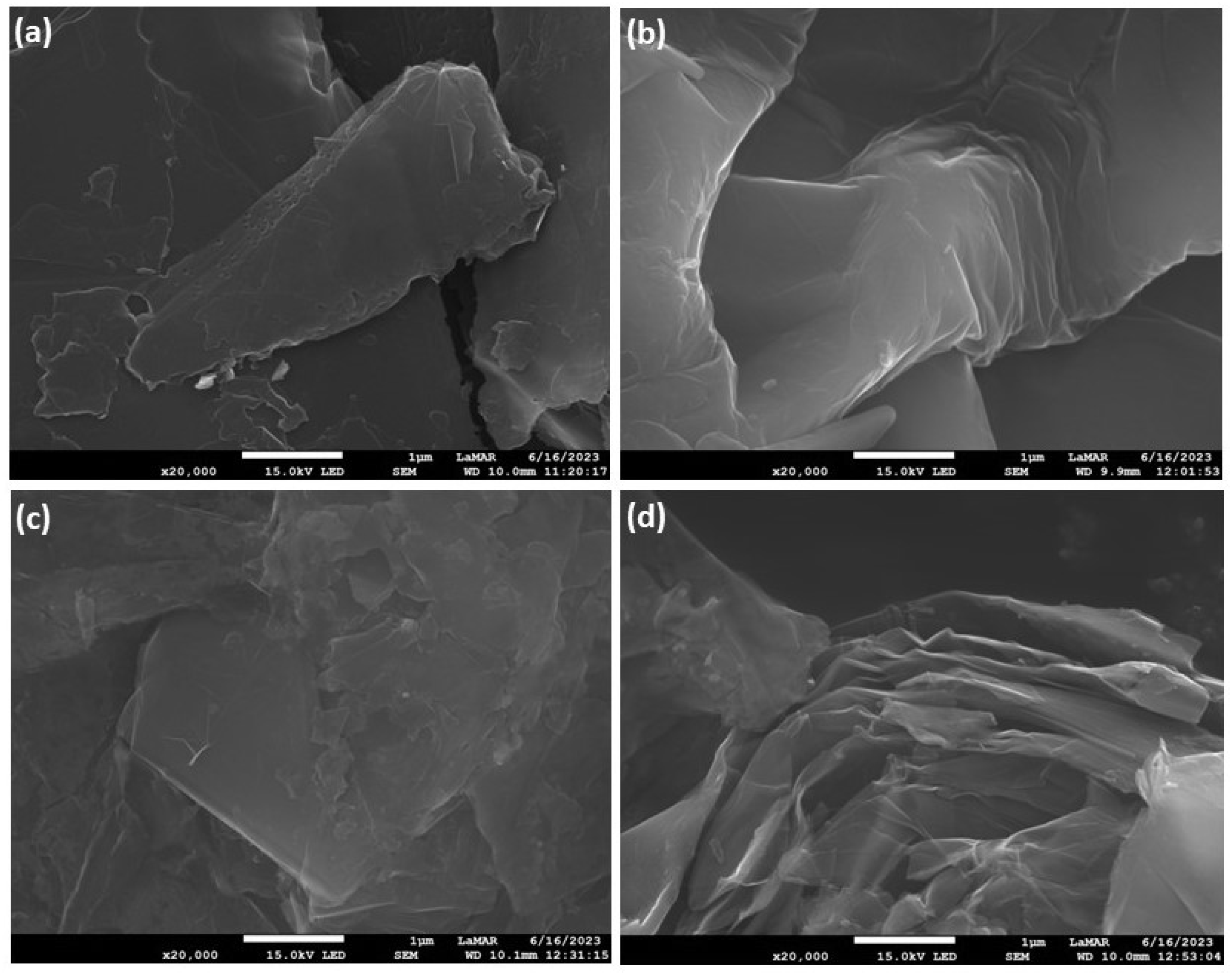Catalysts 13 01427 g004