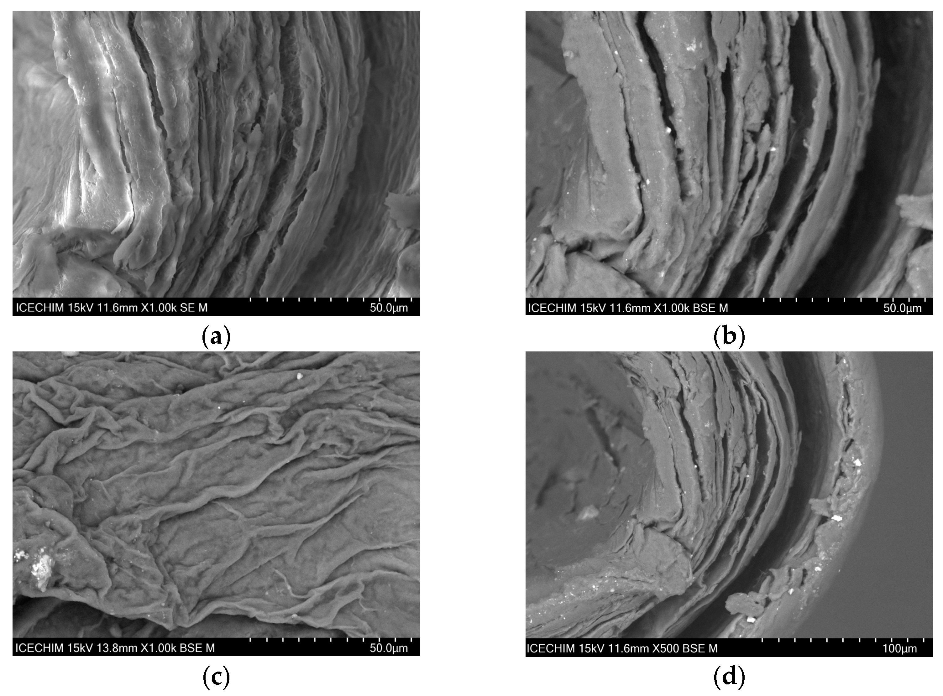 Catalysts 13 01431 g001