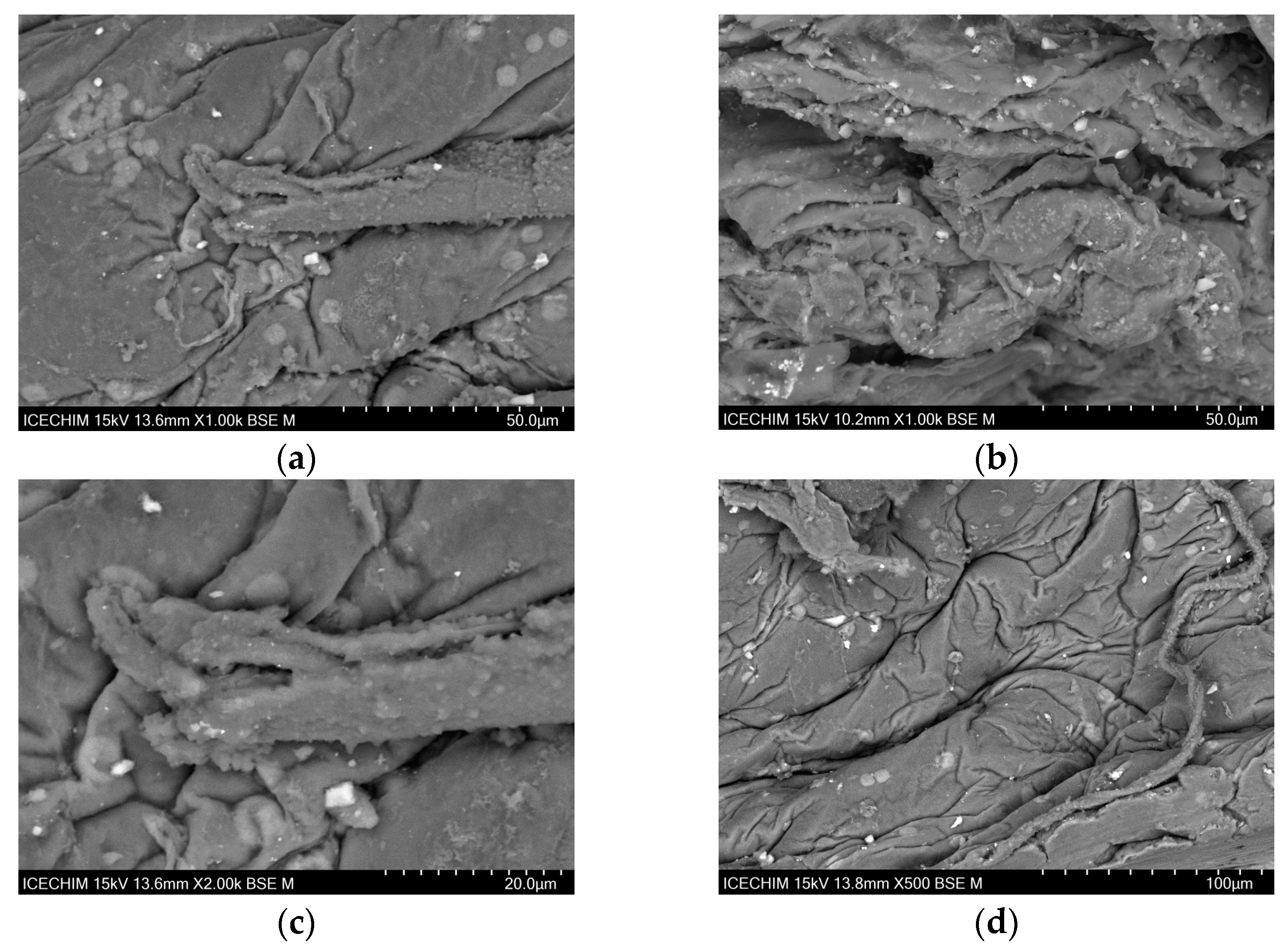 Catalysts 13 01431 g002