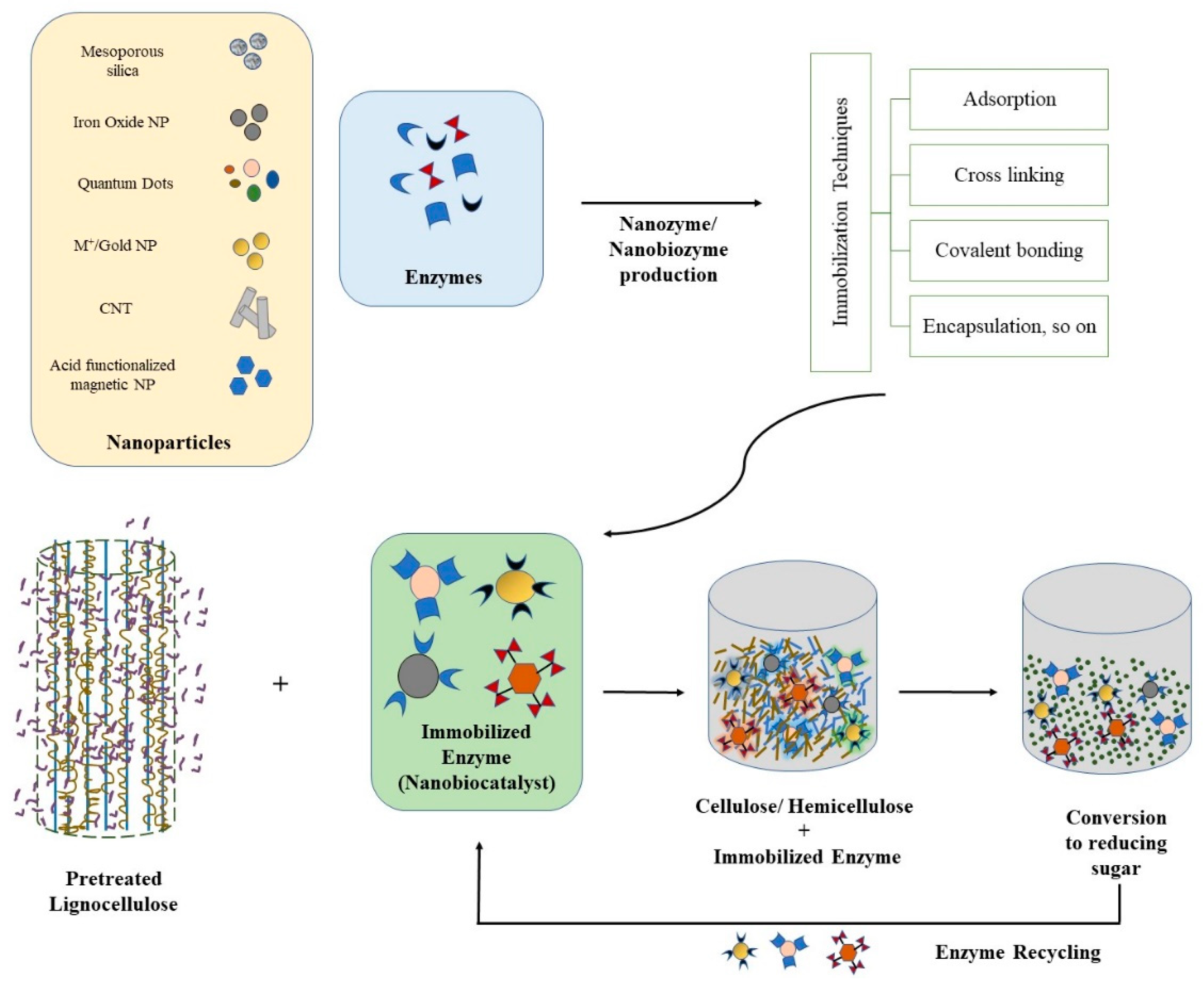Catalysts 13 01439 g003