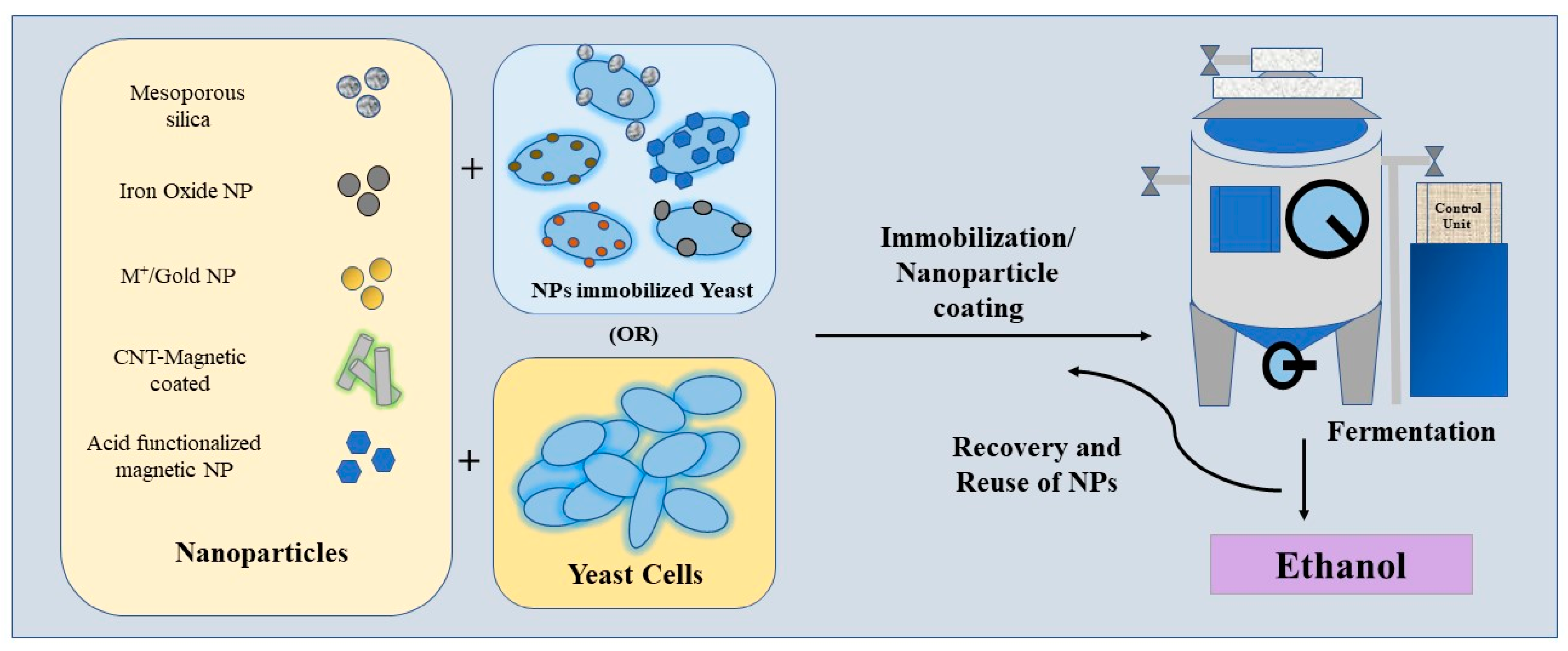 Catalysts 13 01439 g004