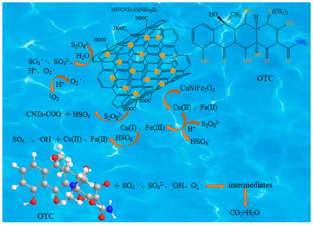 Catalysts 13 01440 g011