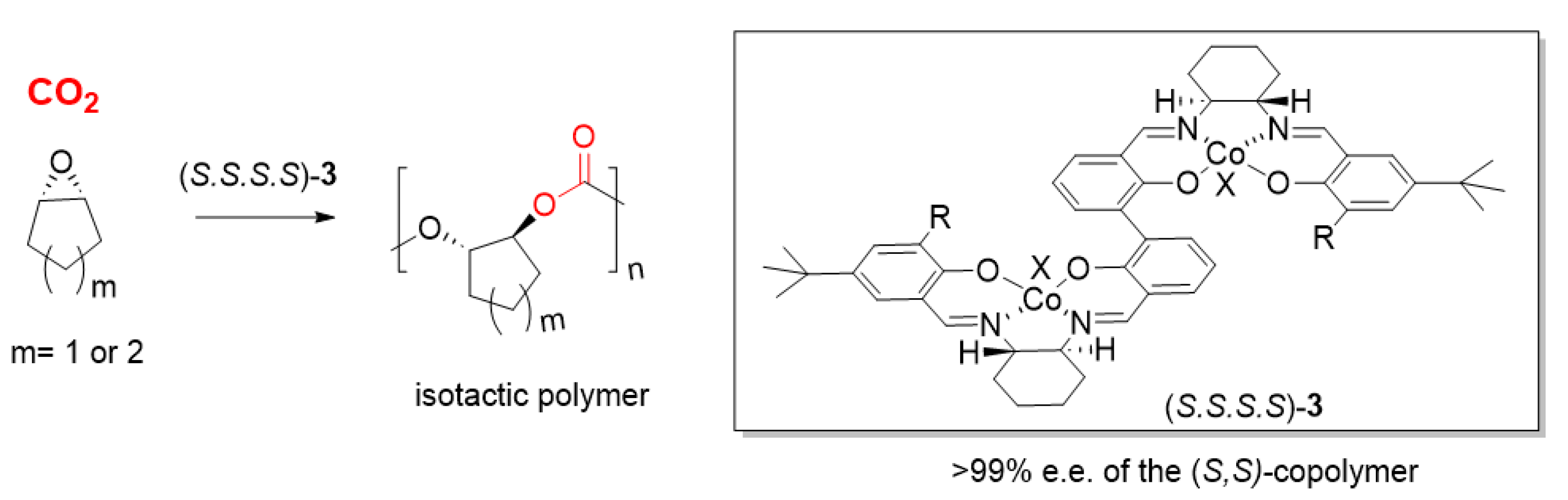Catalysts 13 01441 g002