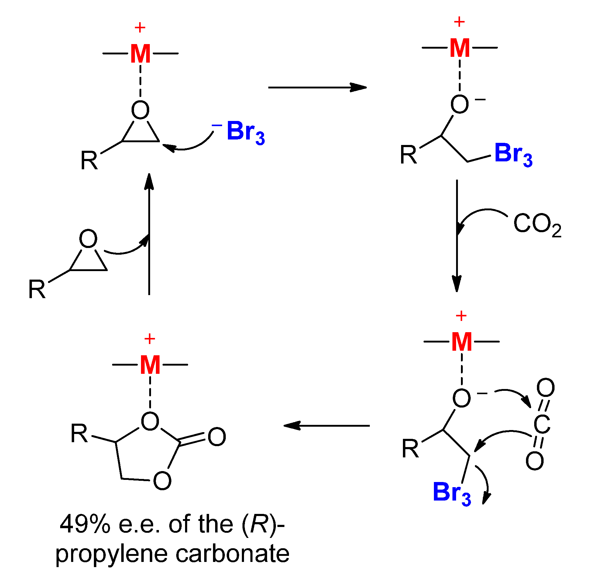 Catalysts 13 01441 g005