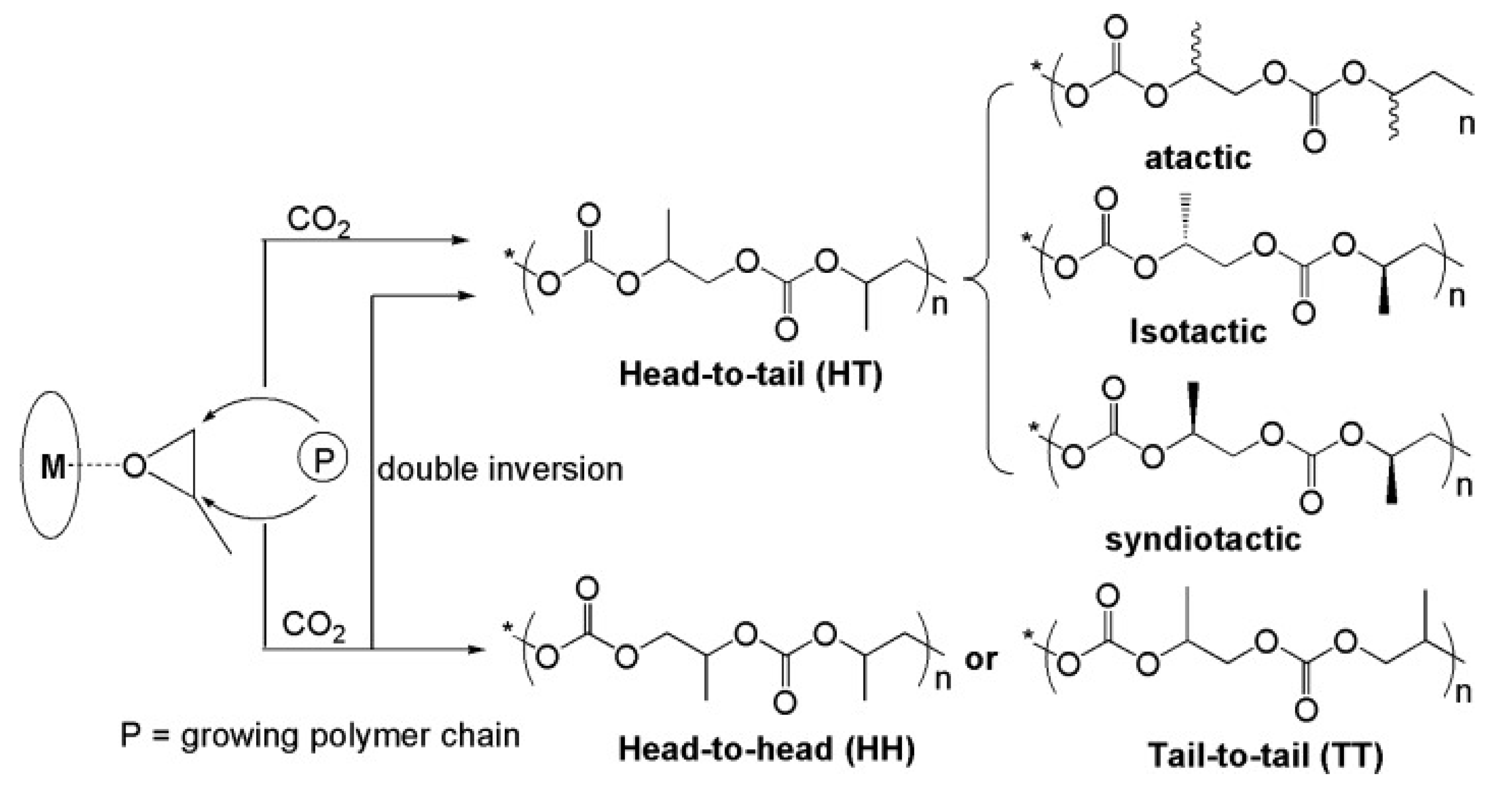 Catalysts 13 01441 sch004