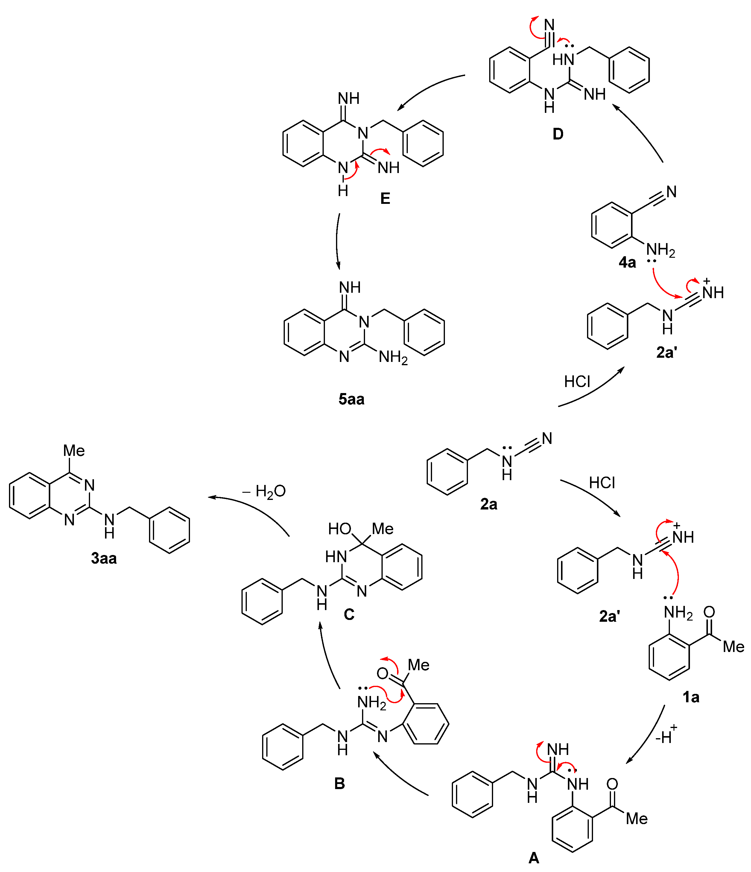 Catalysts 13 01447 sch005