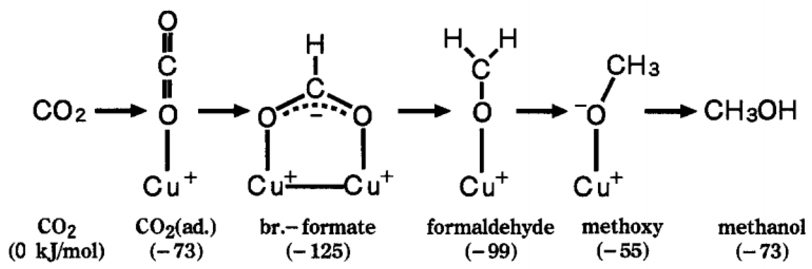 Catalysts 13 01452 g011