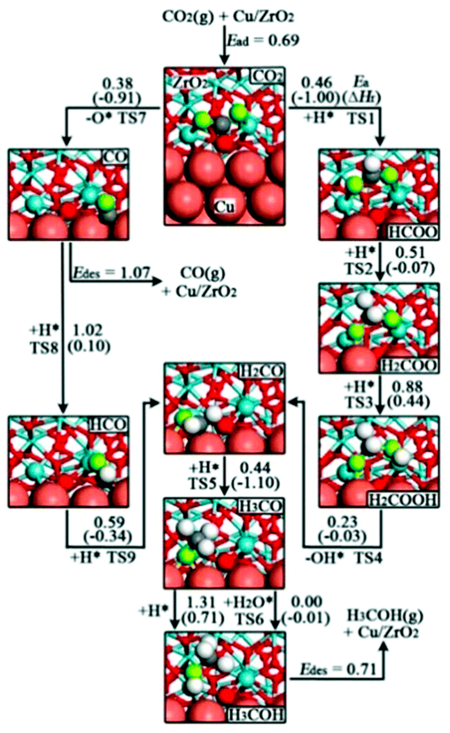 Catalysts 13 01452 g012