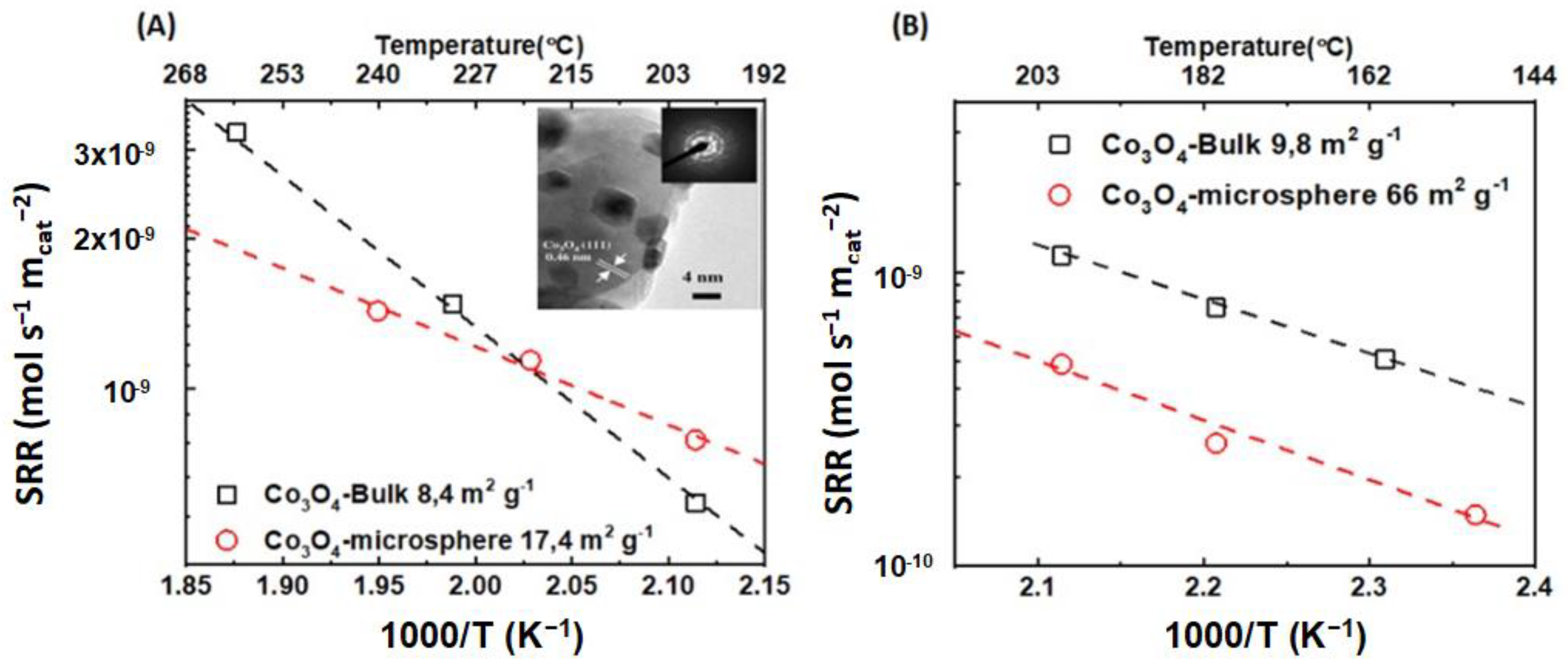 Catalysts 13 01454 g002