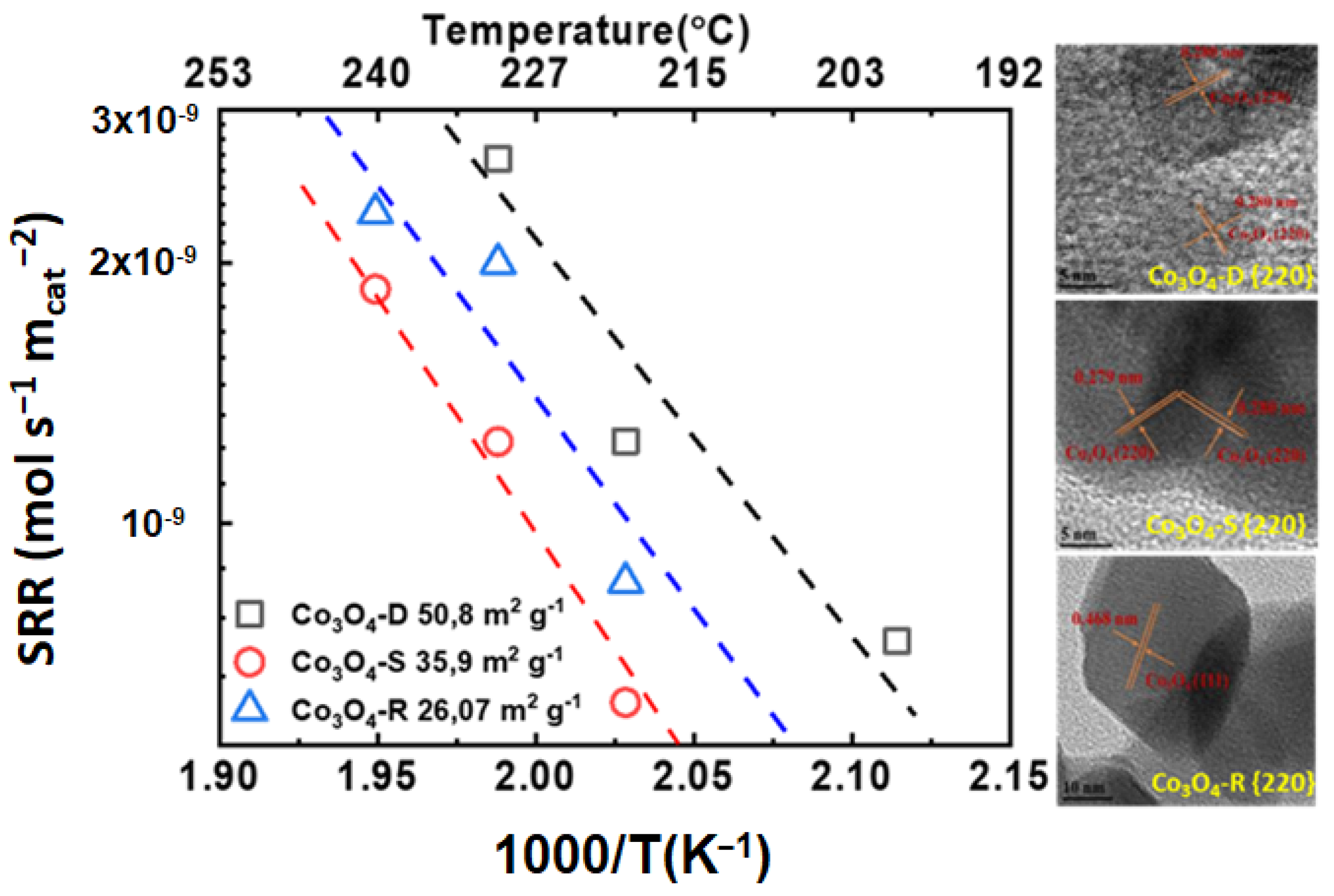 Catalysts 13 01454 g007