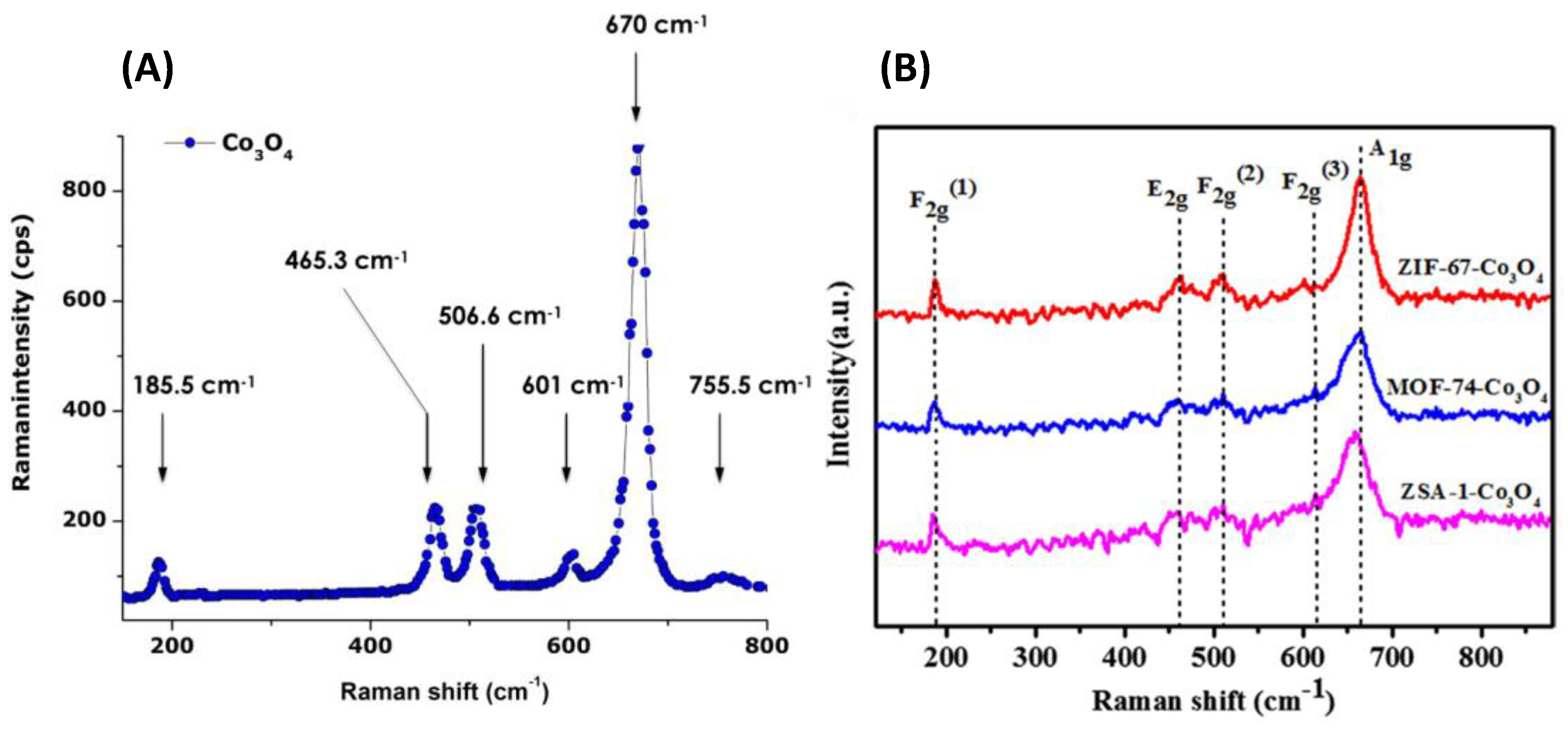 Catalysts 13 01454 g012