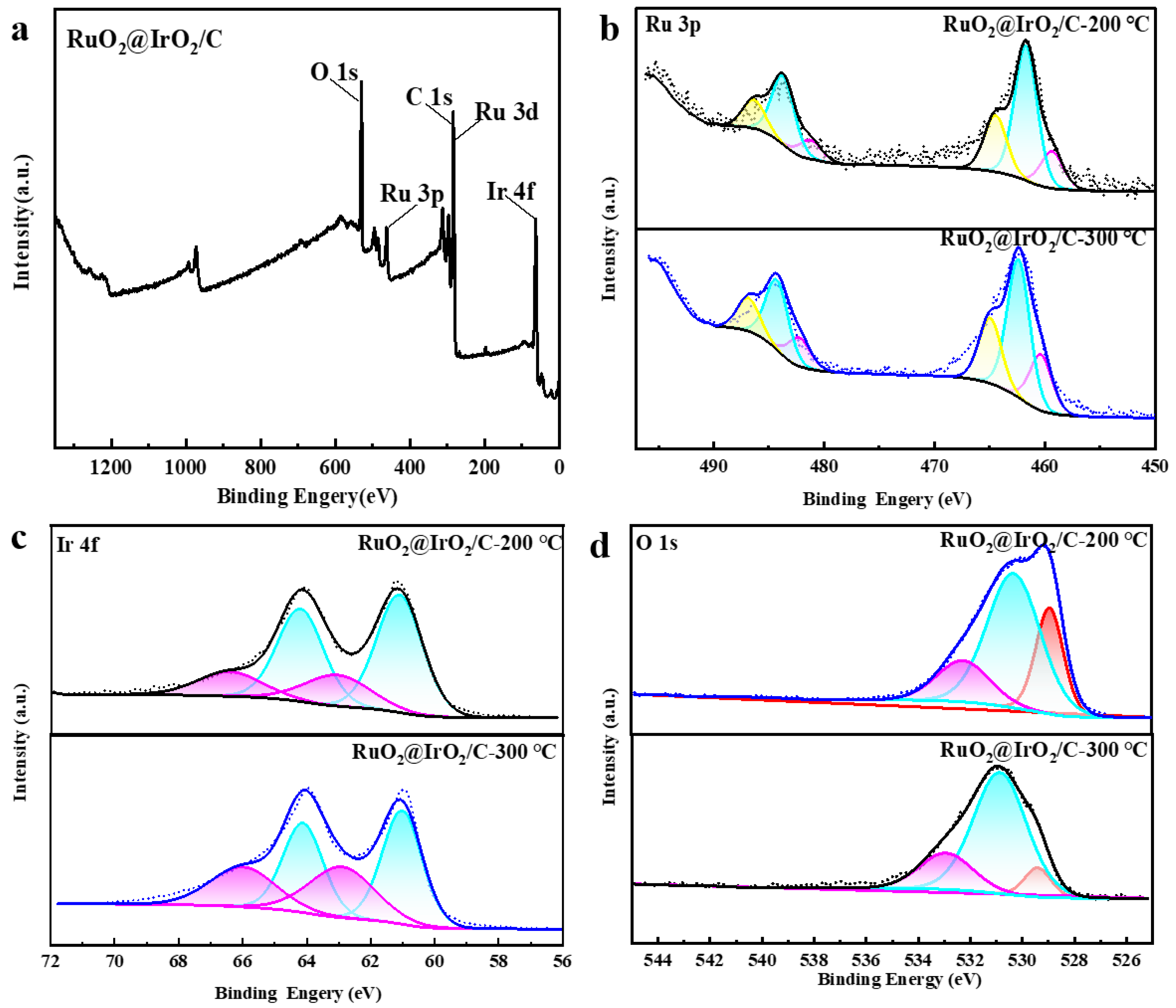 Catalysts 13 01456 g005