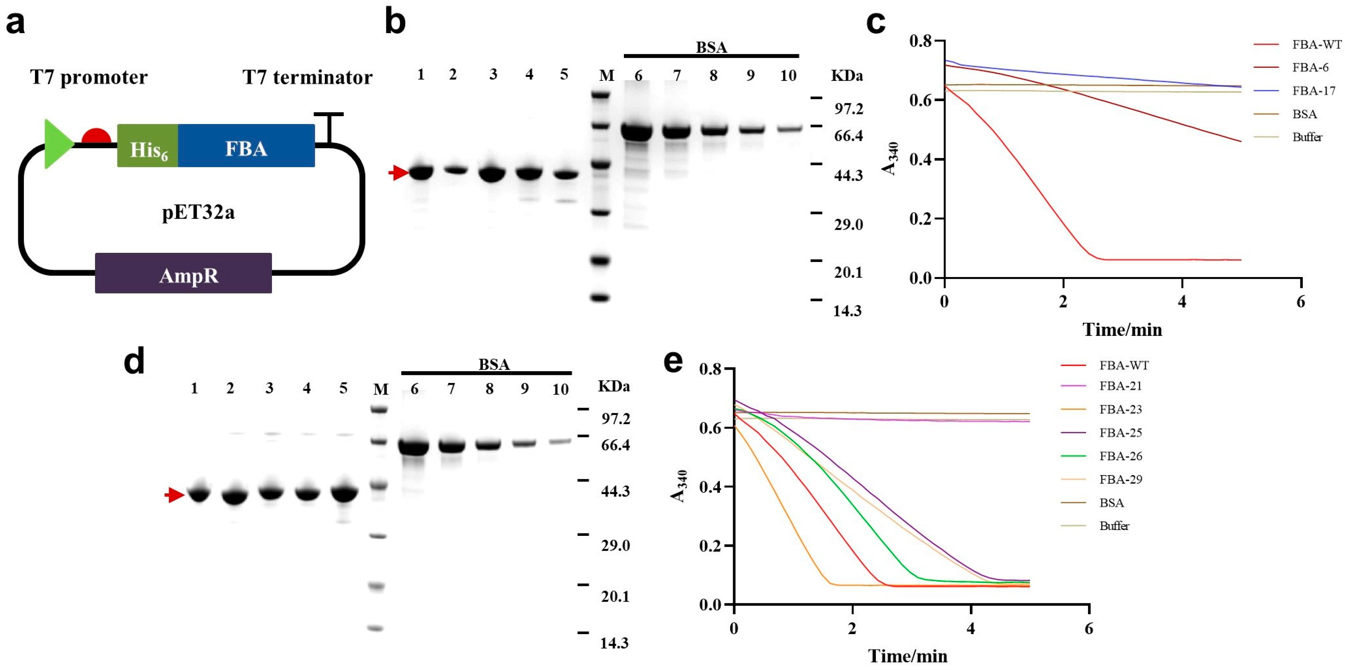 Catalysts 13 01457 g003