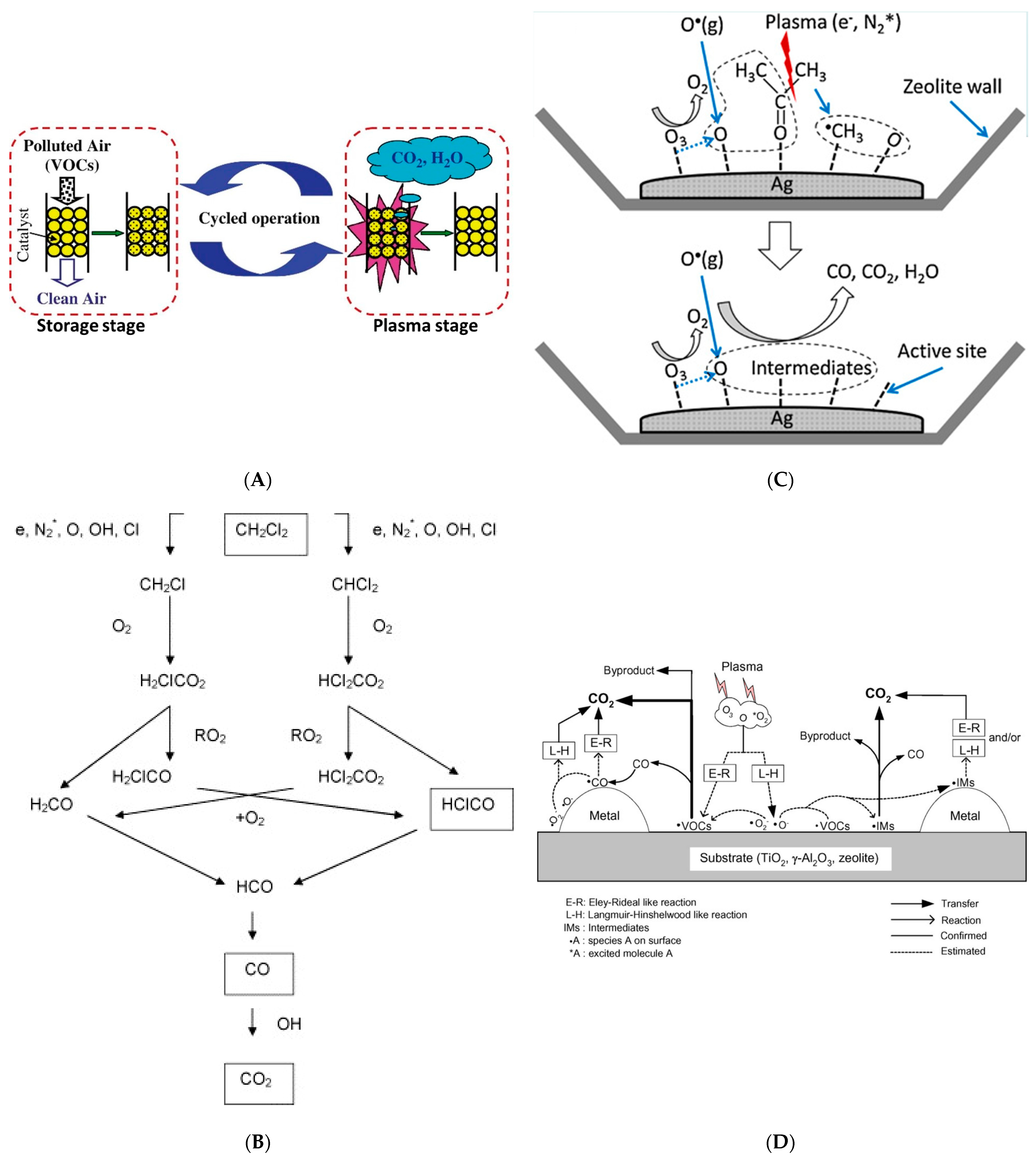 Catalysts 13 01461 g003