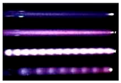 Catalysts 13 01461 i004