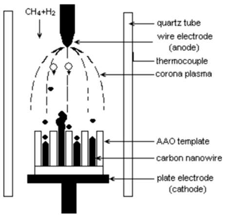 Catalysts 13 01461 i005