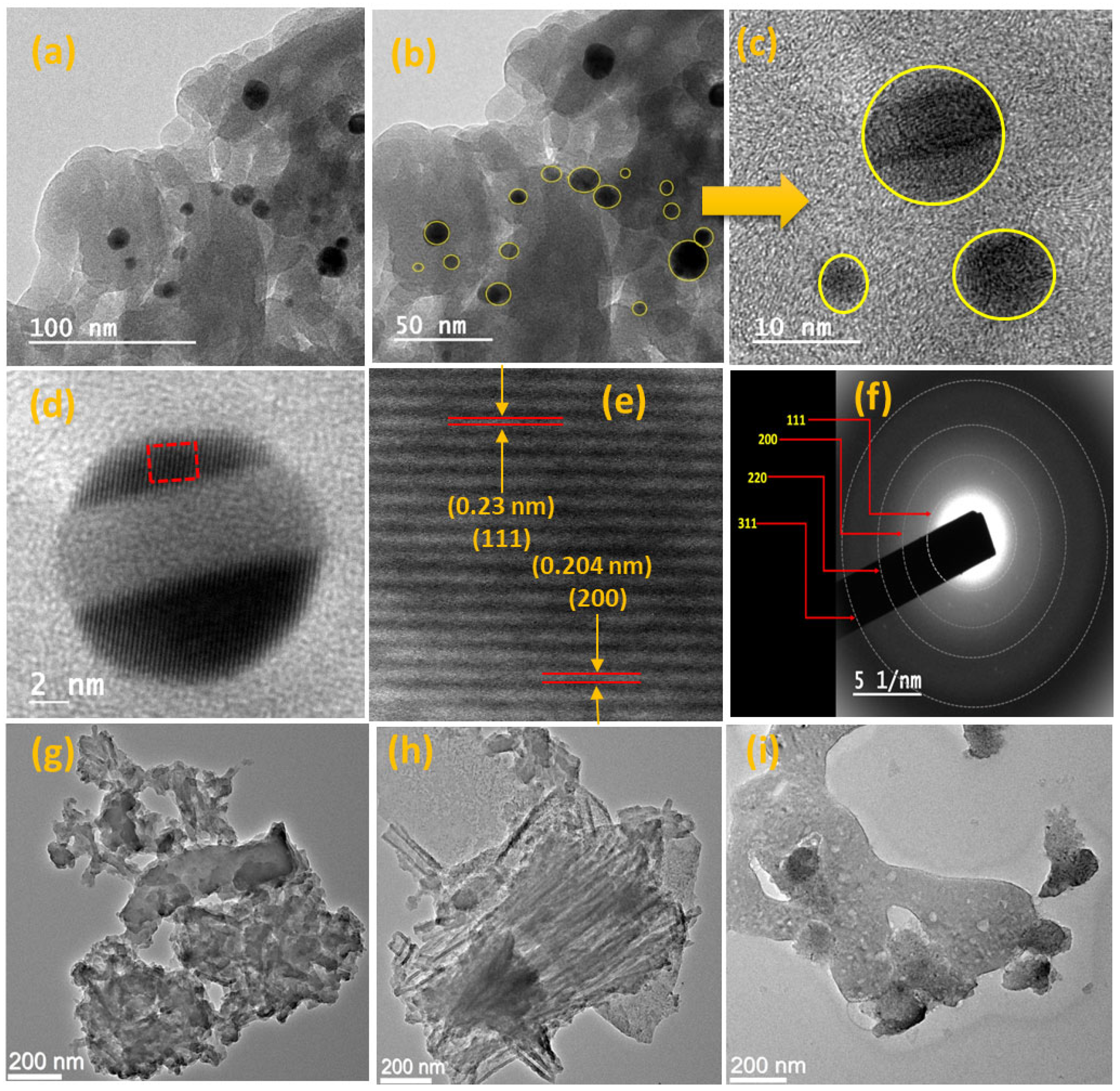 Catalysts 13 01467 g006