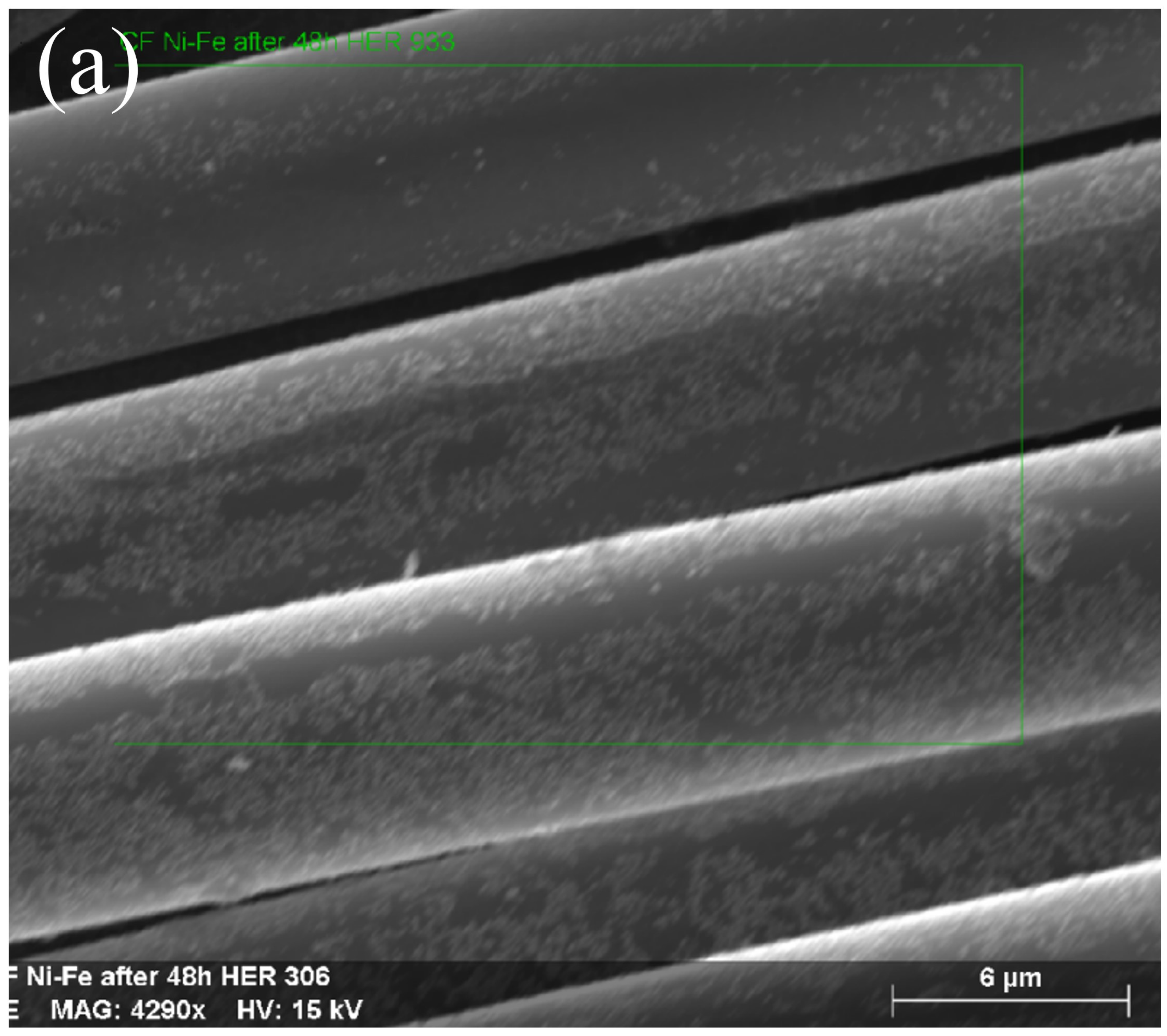 Catalysts 13 01468 g001a